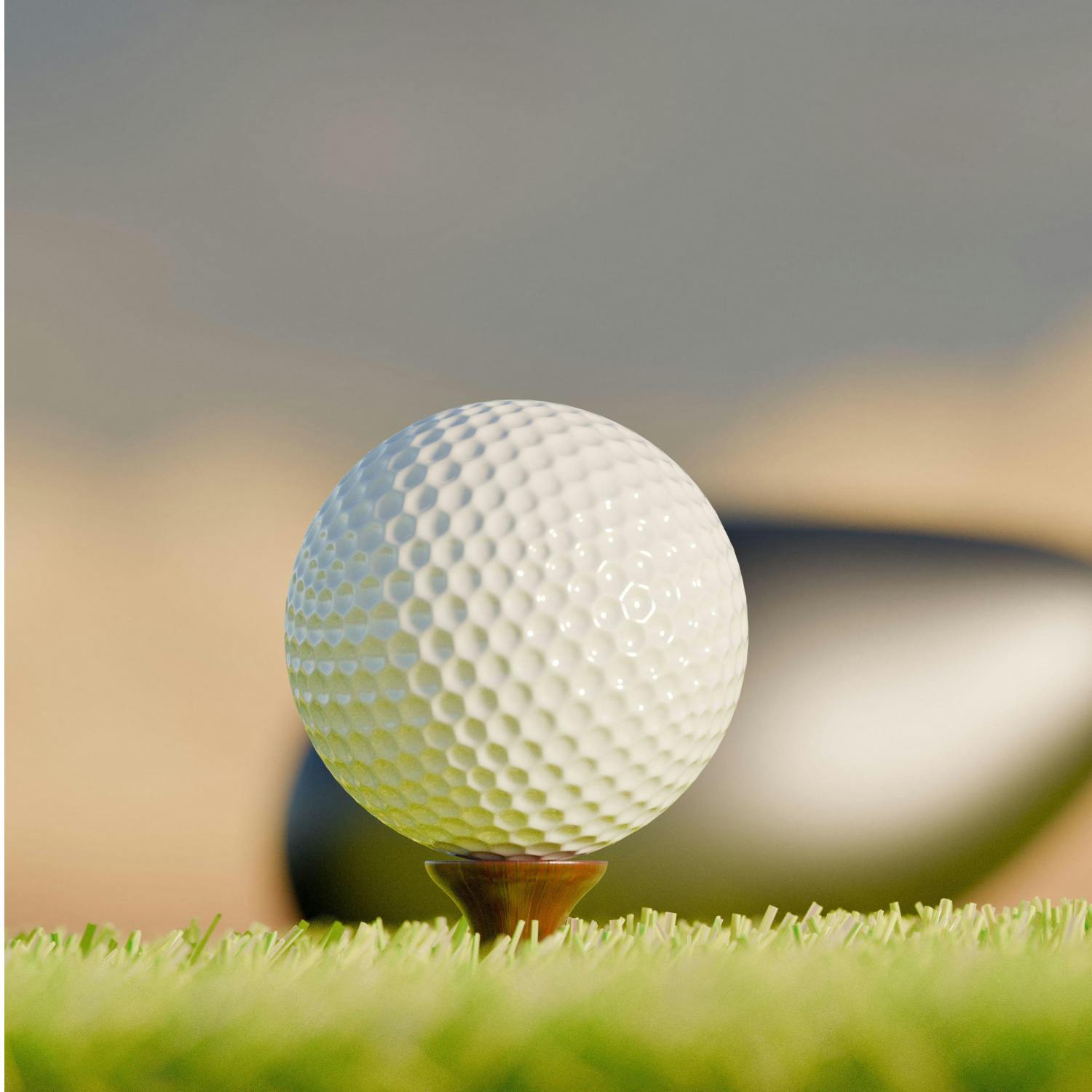 A look back on the weekend of sport