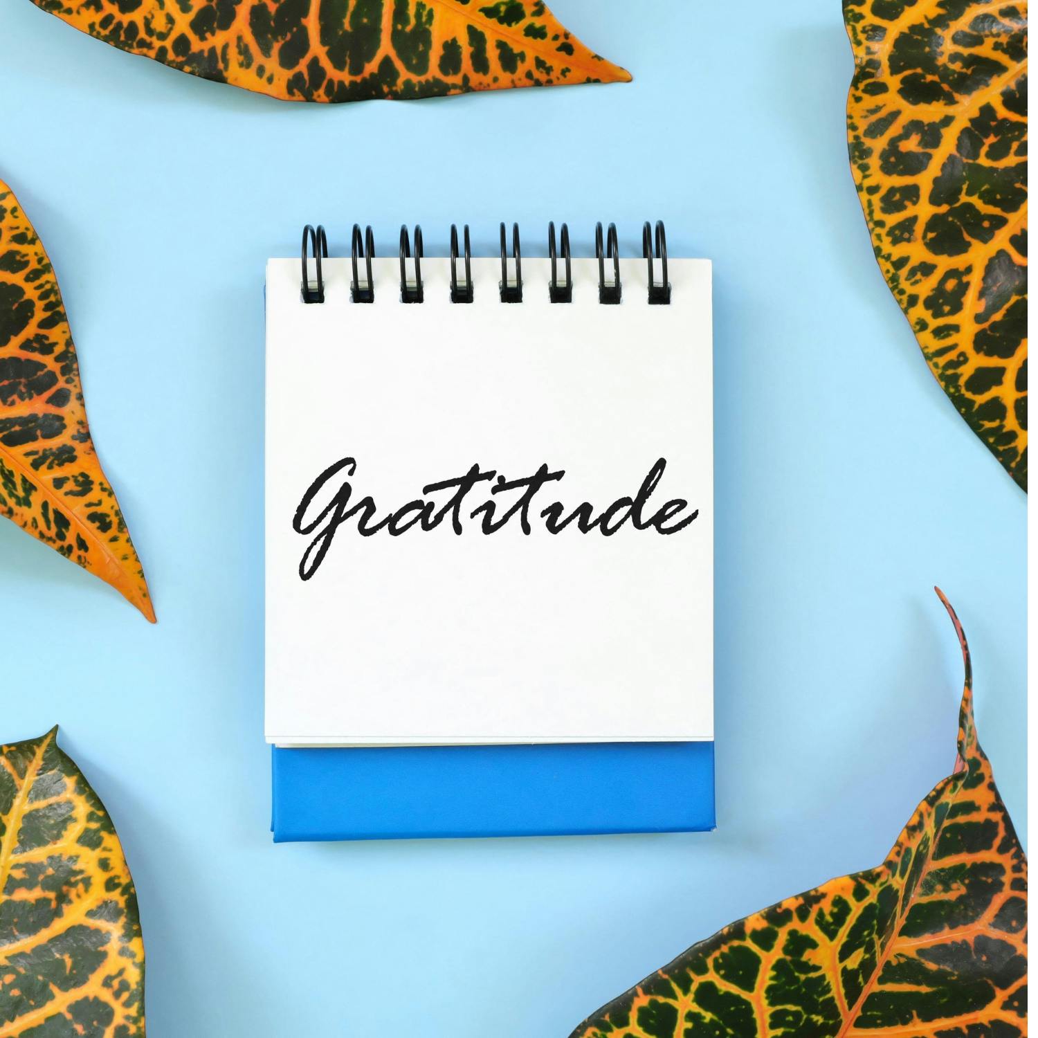 Parenting: Teaching kids gratitude