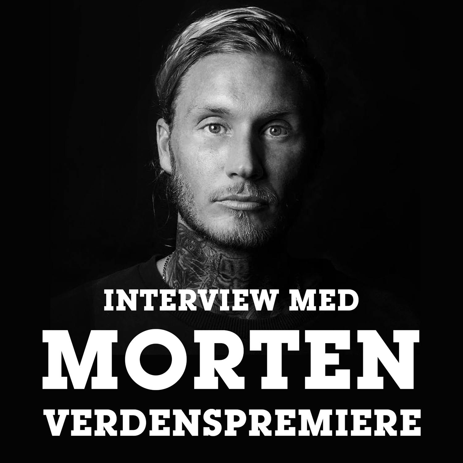The Voice In The Mix
