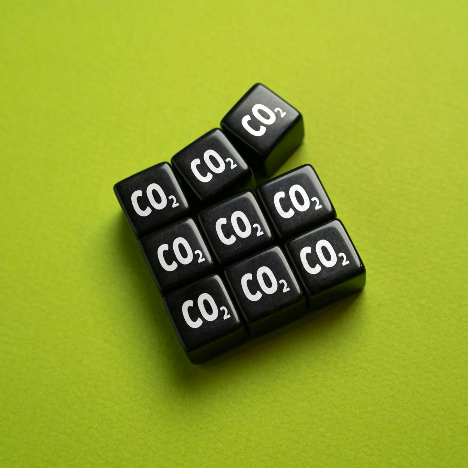 Should the Government press ahead with increases in carbon tax ?