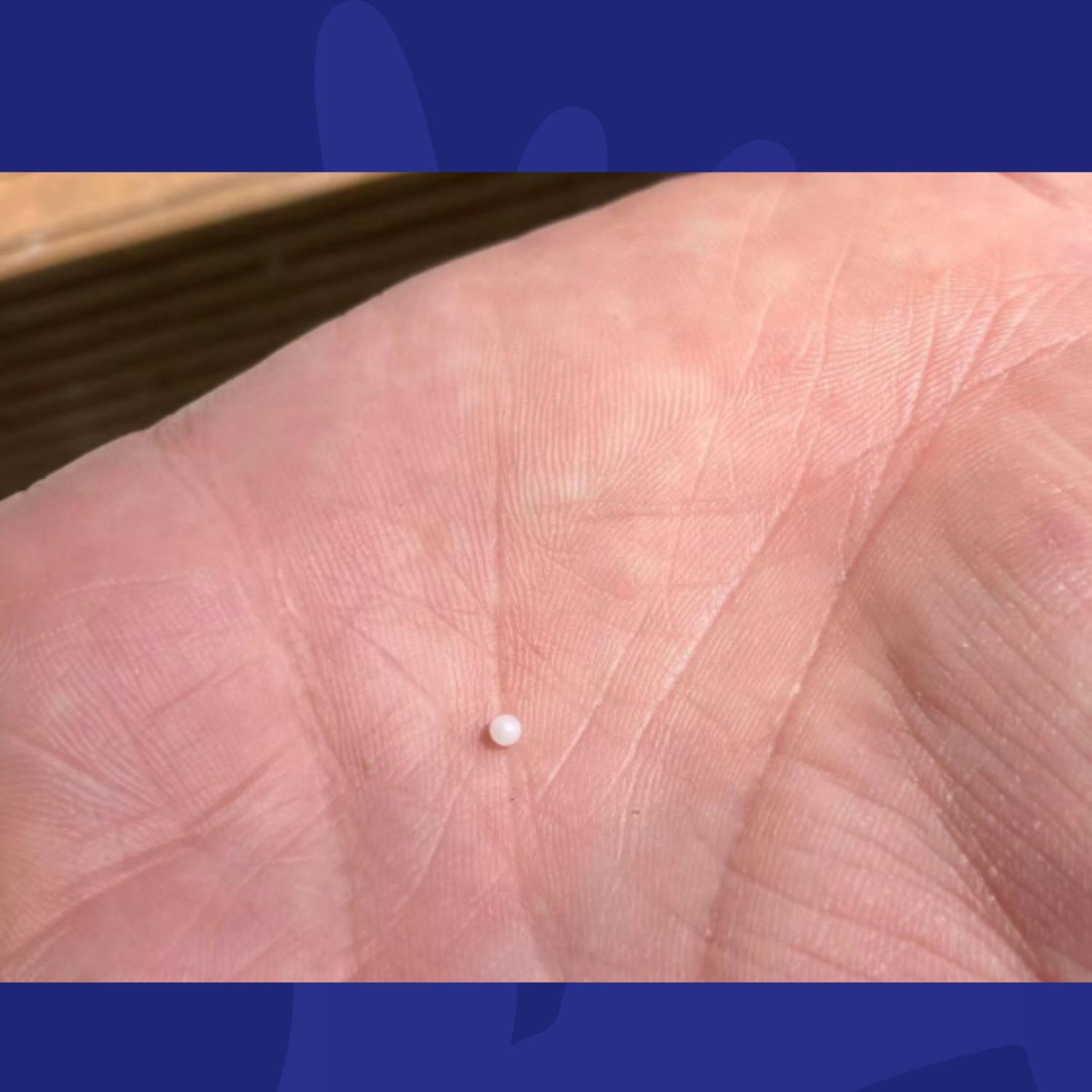 After 50 Years An Iconic Irish Seafood Restaurant Find A Pearl In An Oyster episode artwork