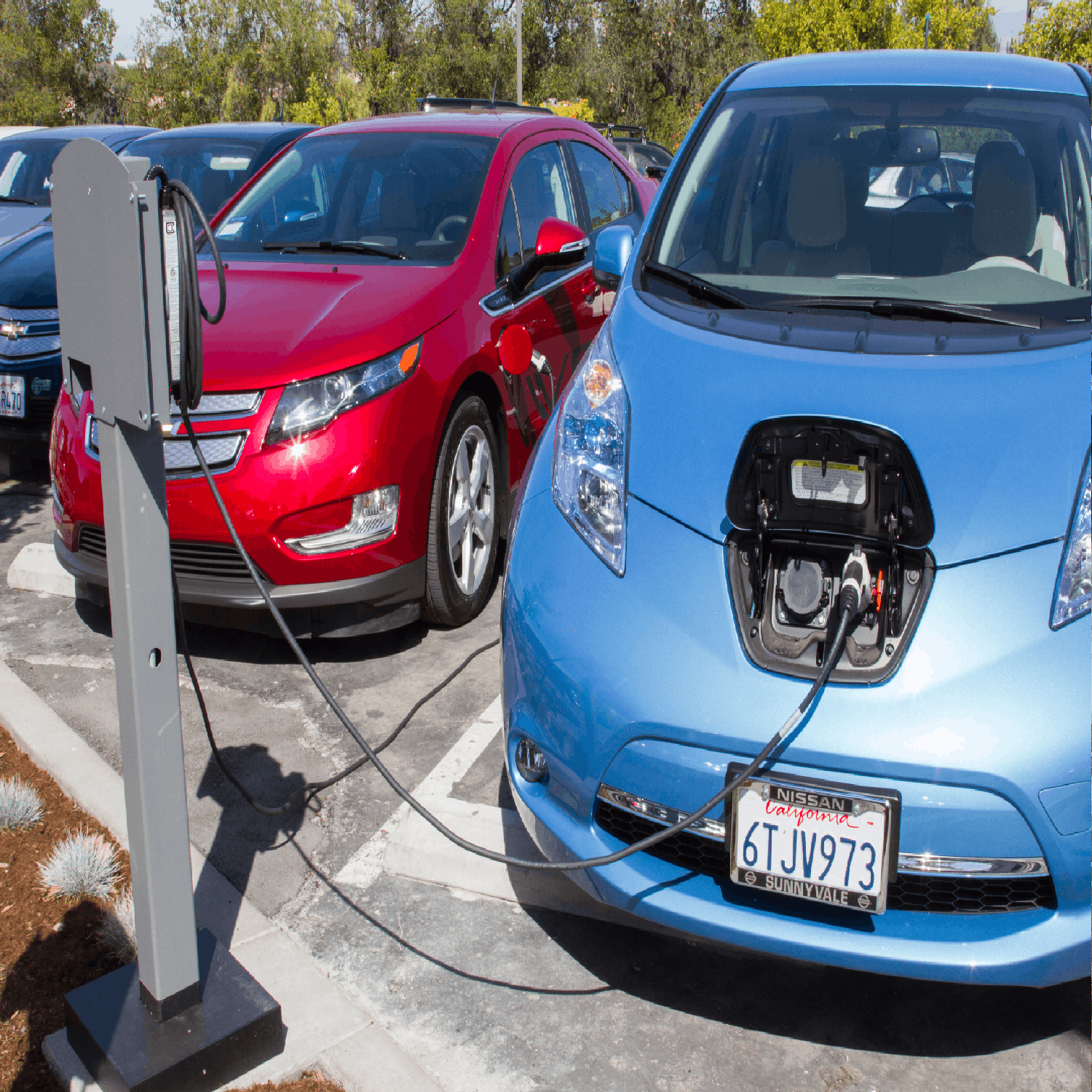 cover of episode Electric Vehicles – Are they as green as we think?