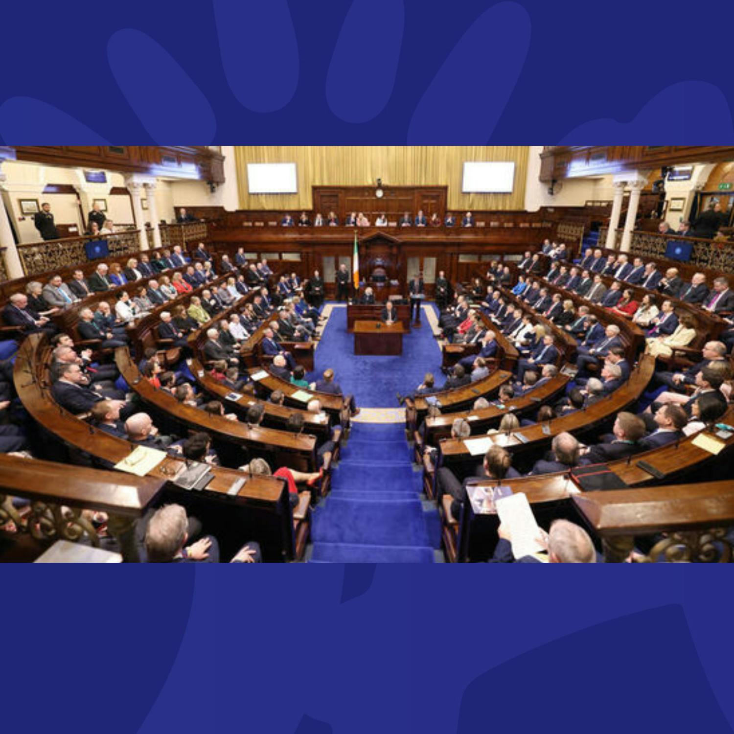 First Time TDs Reflect On Their First Six Months In The Dáil