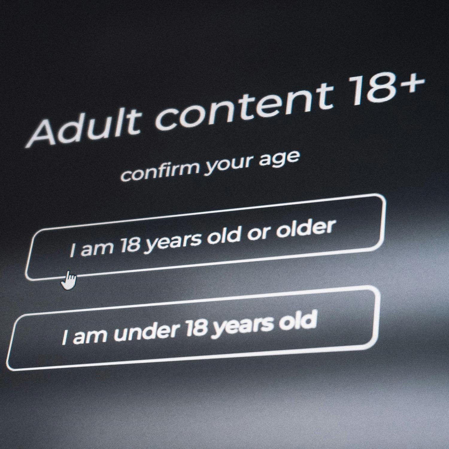 Should age verification be required to access online porn ?