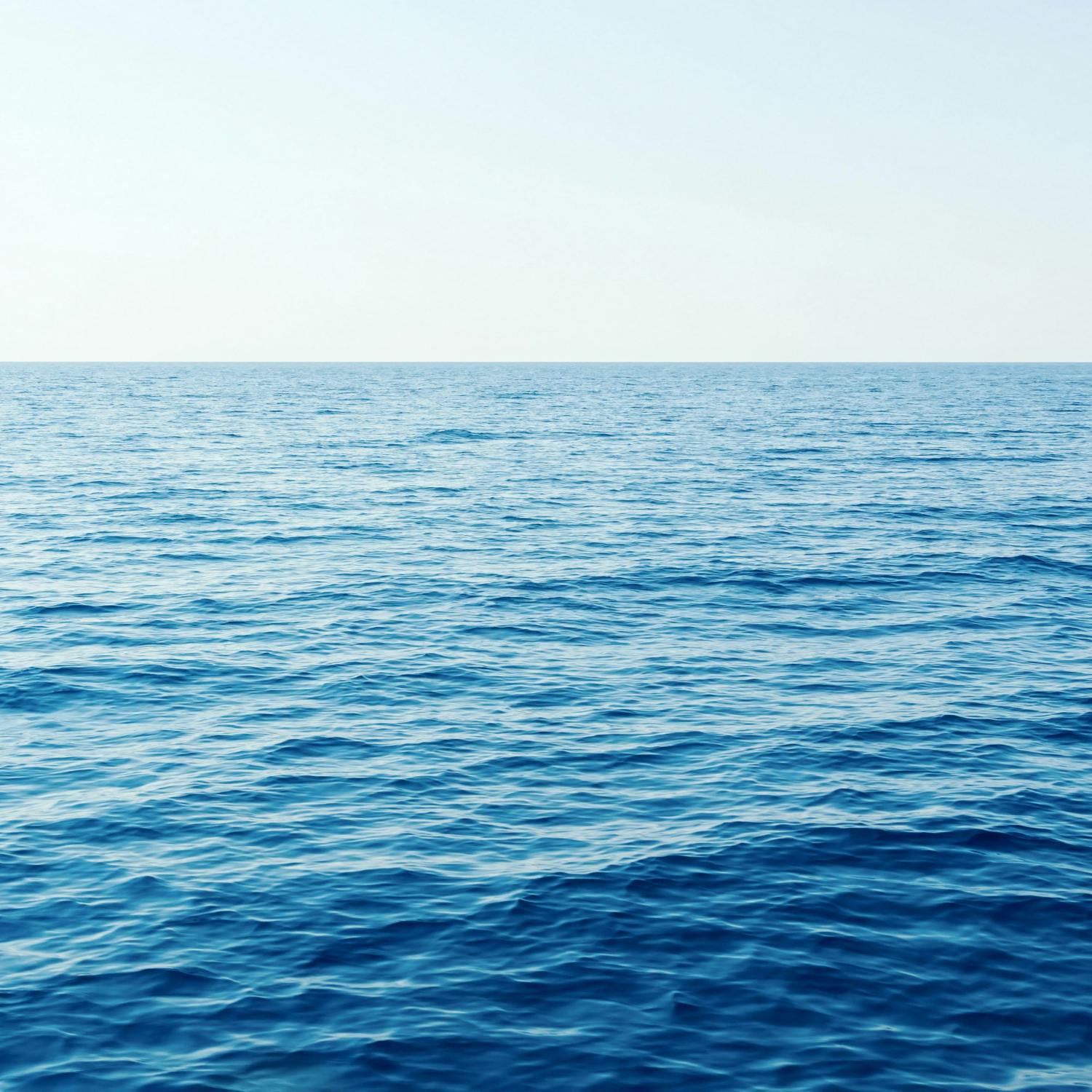 Going Green: What is causing our seas to get so warm?