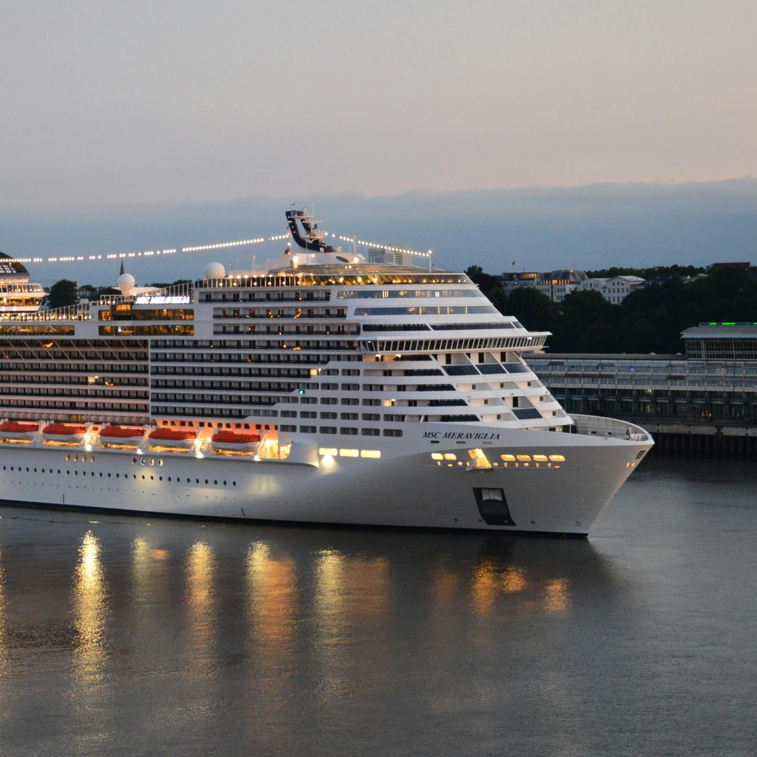 The Ultimate Guide: Cruises