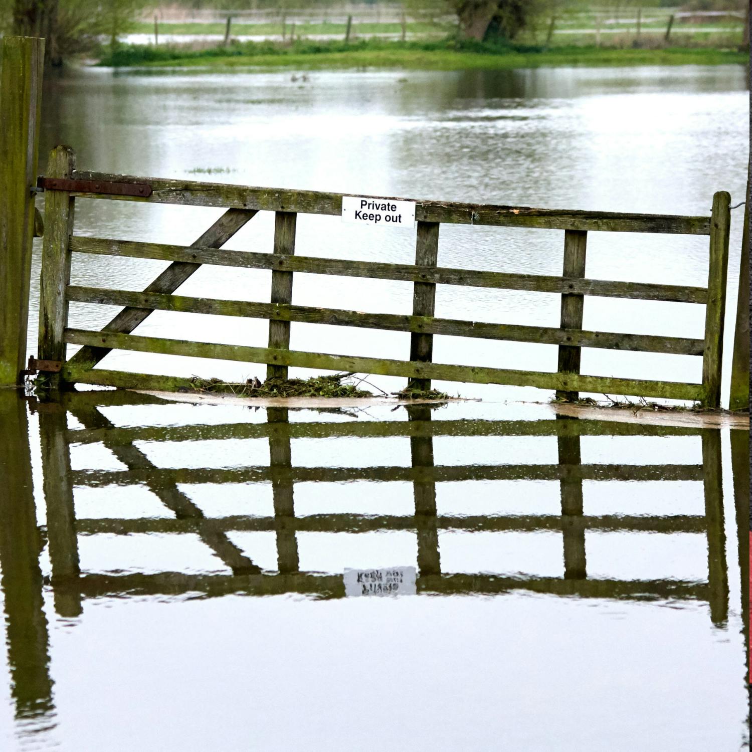 What to do when your house or premises floods? episode artwork