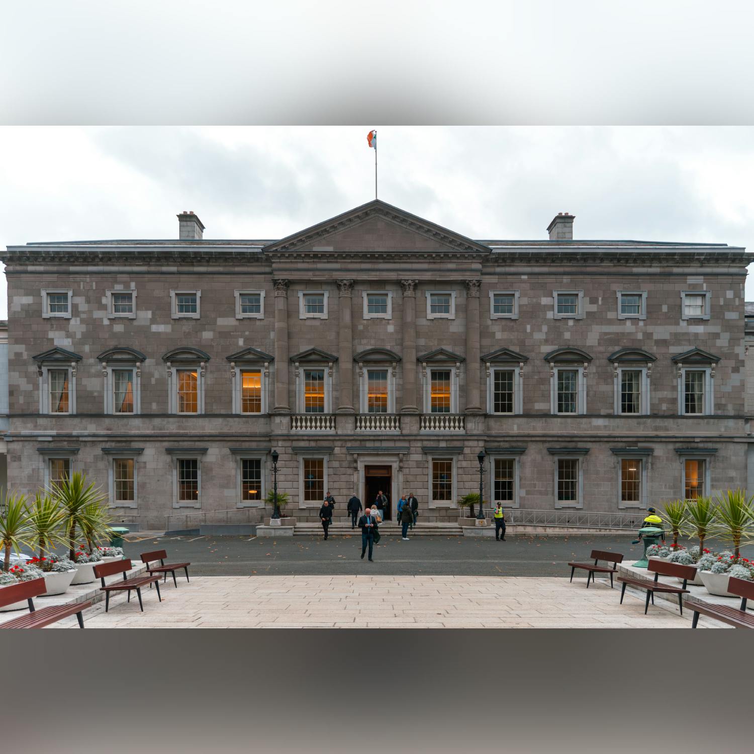 Multiple pest control issues facing Leinster House Multiple pest control issues facing Leinster House