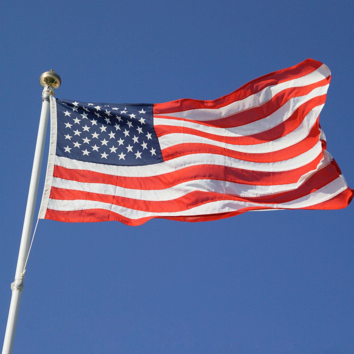 cover of episode The Enterprise Forum to discuss the US trade tariffs