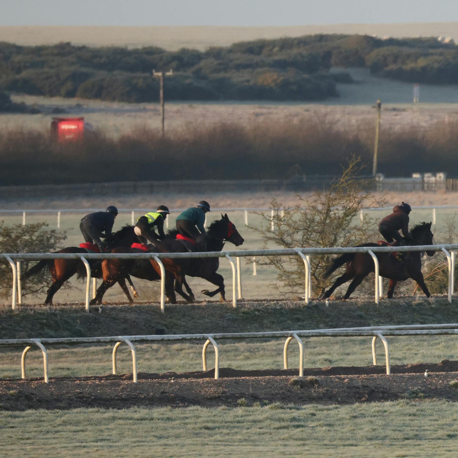 Horse Sport Ireland has been given the protection of the High Court
