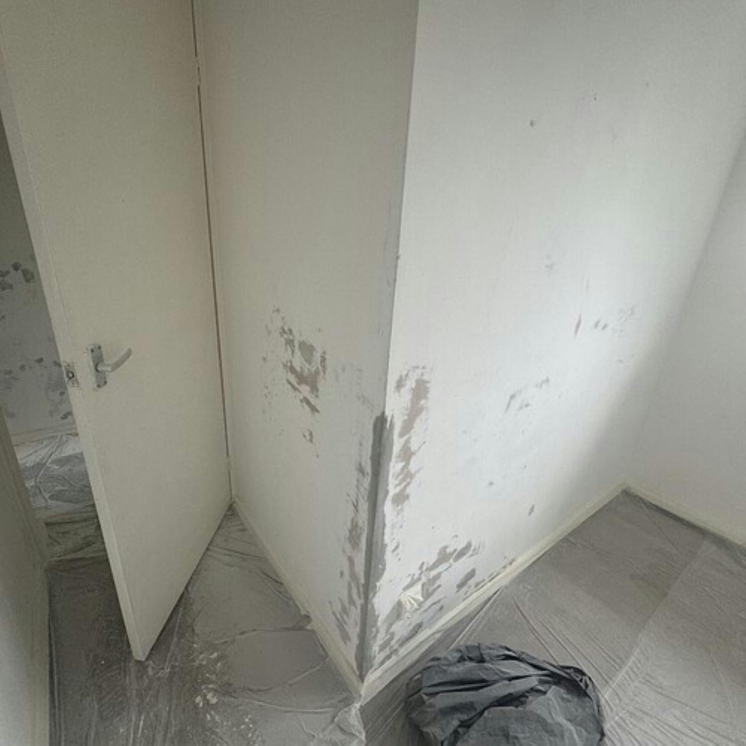 Landlord Reveals that HAP Tenant Caused €12,000 Damage To His Property Landlord Reveals that HAP Tenant Caused €12,000 Damage To His Property