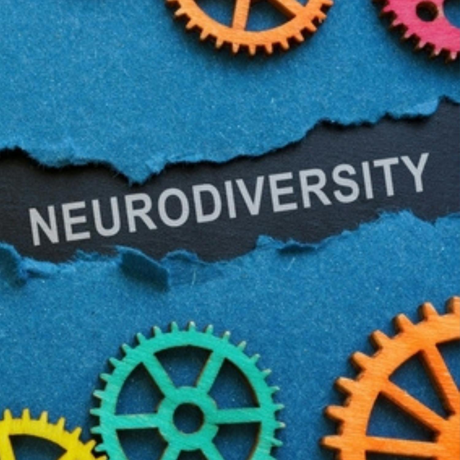 Making Sandymount neuro-diverse friendly
