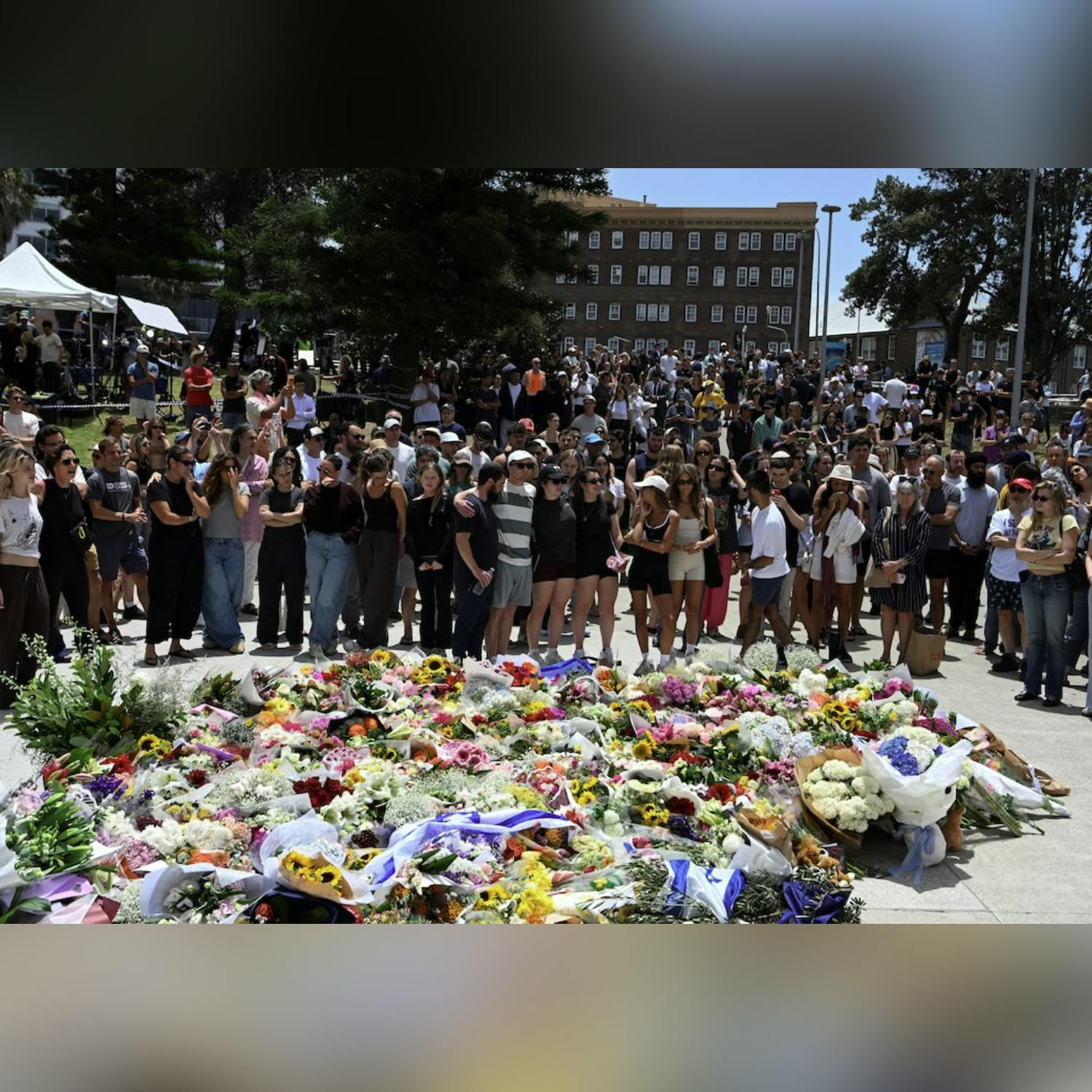 Reactions to and experiences of the Bondi Beach shooting