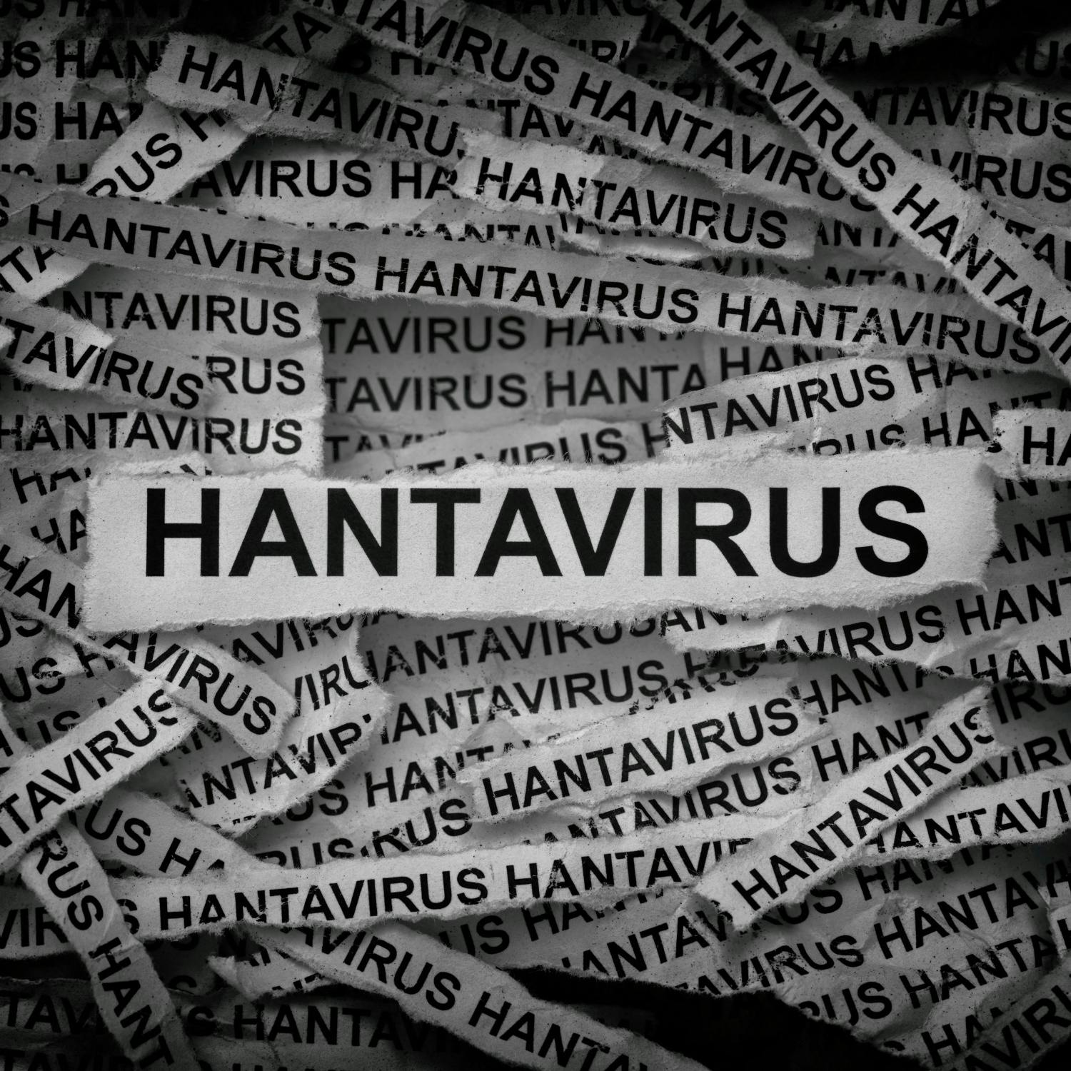 What you need to know about Hantavirus
