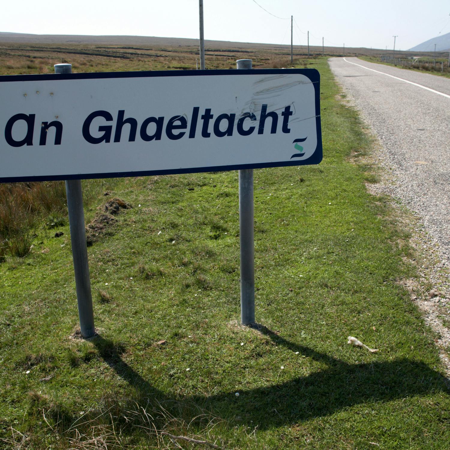 cover of episode Setting up shop in Gaeltacht areas