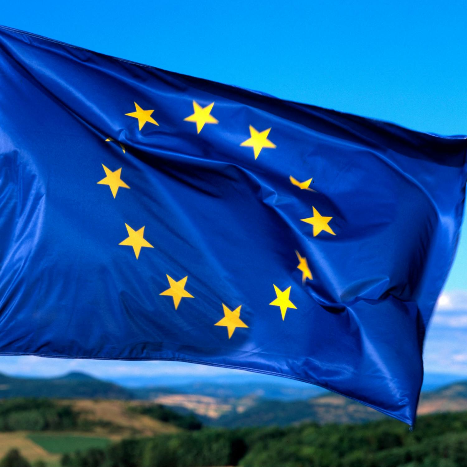 Poll shows a decline in Irish people’s satisfaction with the direction of the EU Poll shows a decline in Irish people’s satisfaction with the direction of the EU