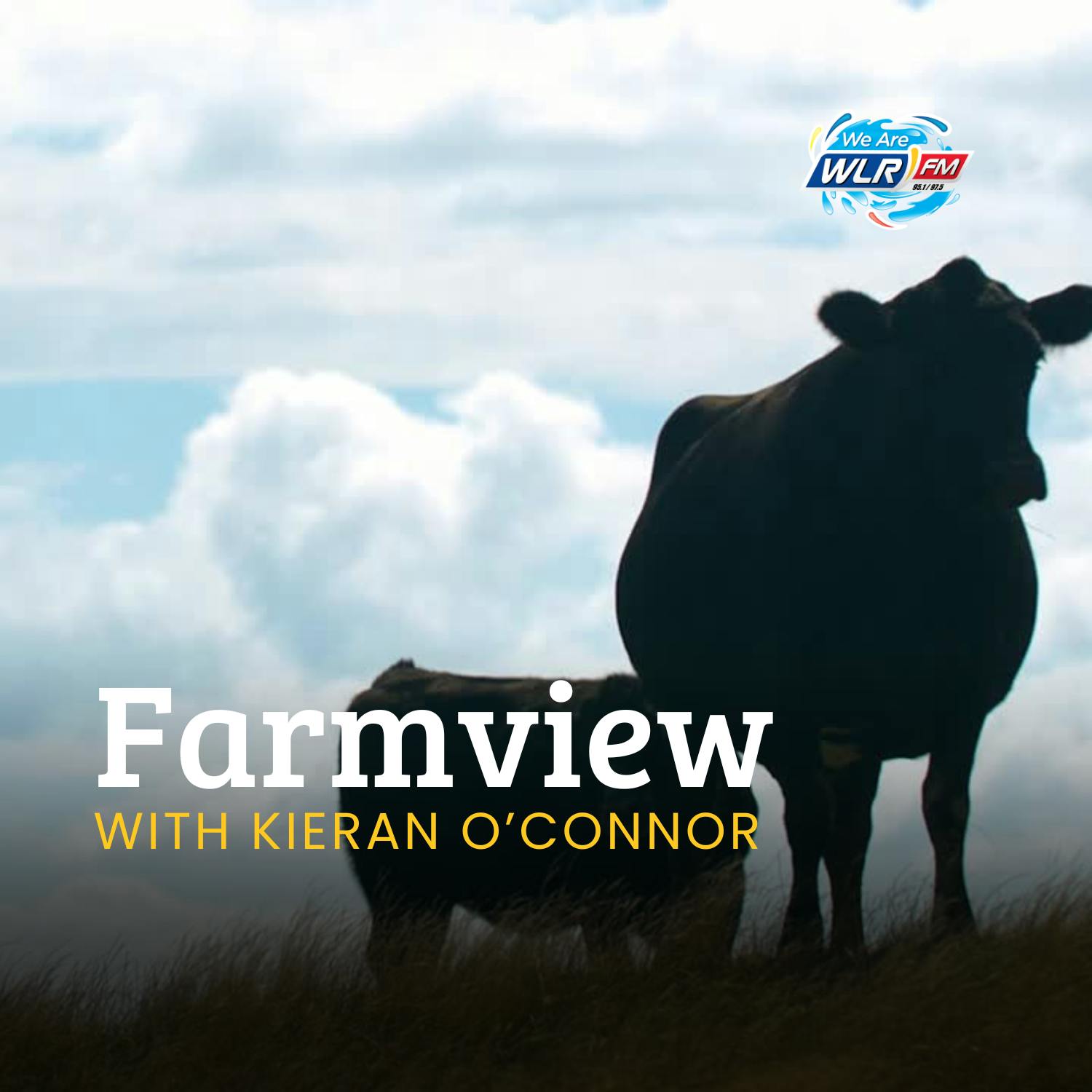 Farmview January 16th Farmview January 16th