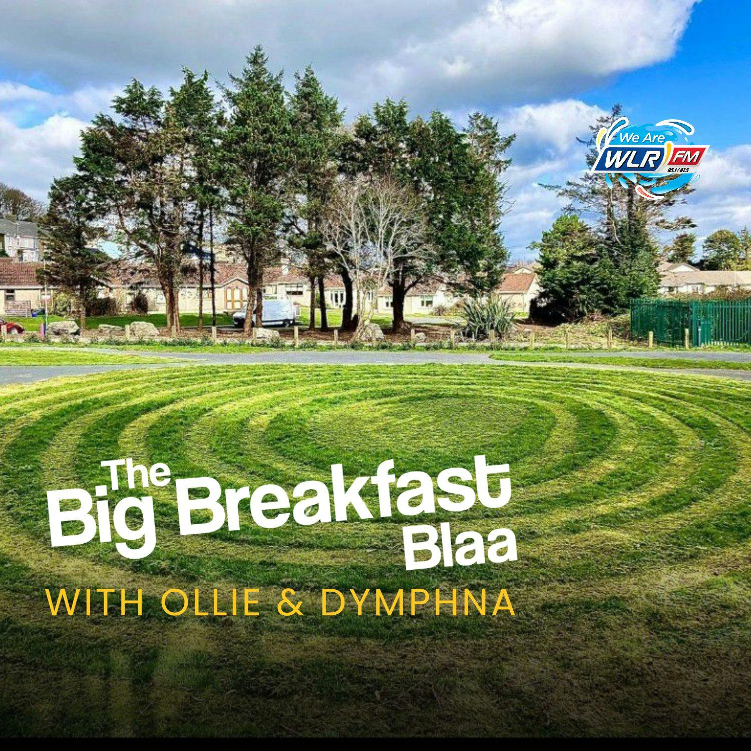 Work underway on new sensory garden in Tramore episode artwork