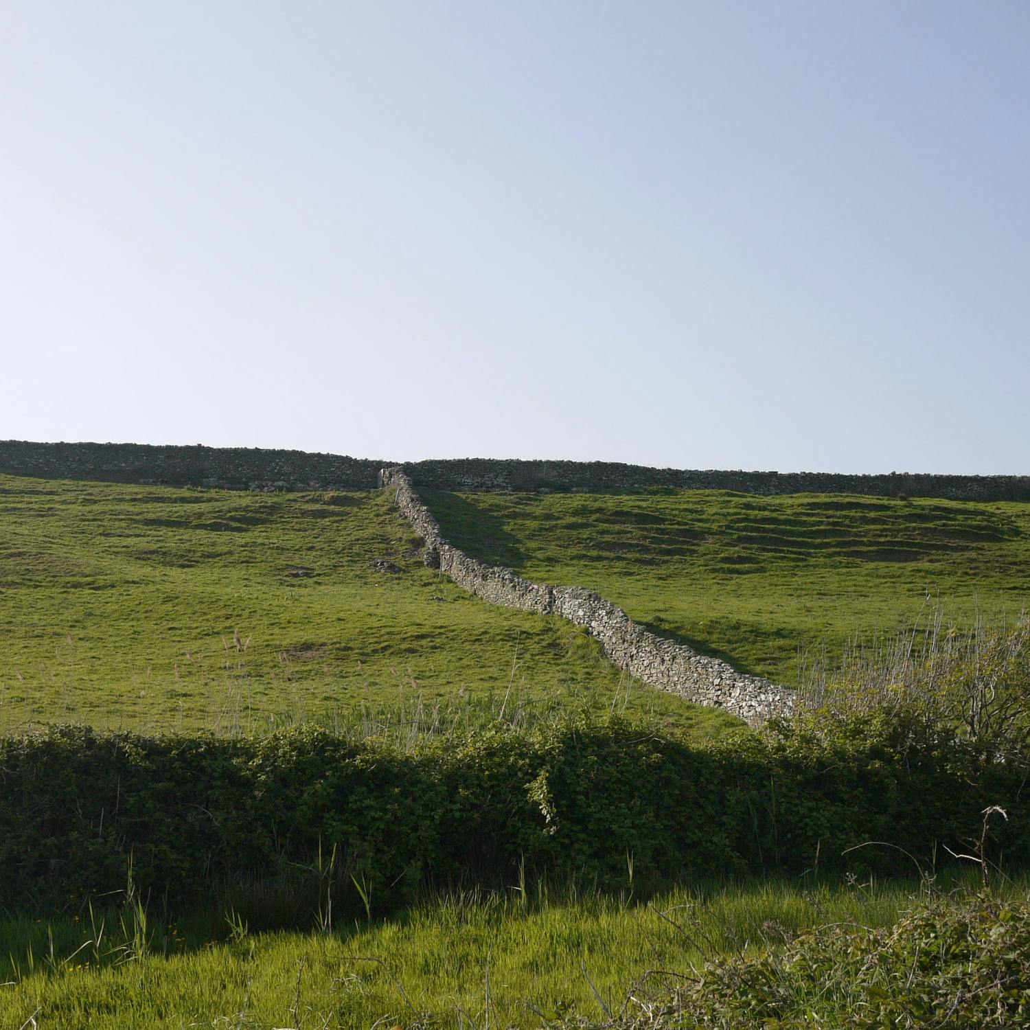 Is there a need to ease the planning rules for farmer’s children?