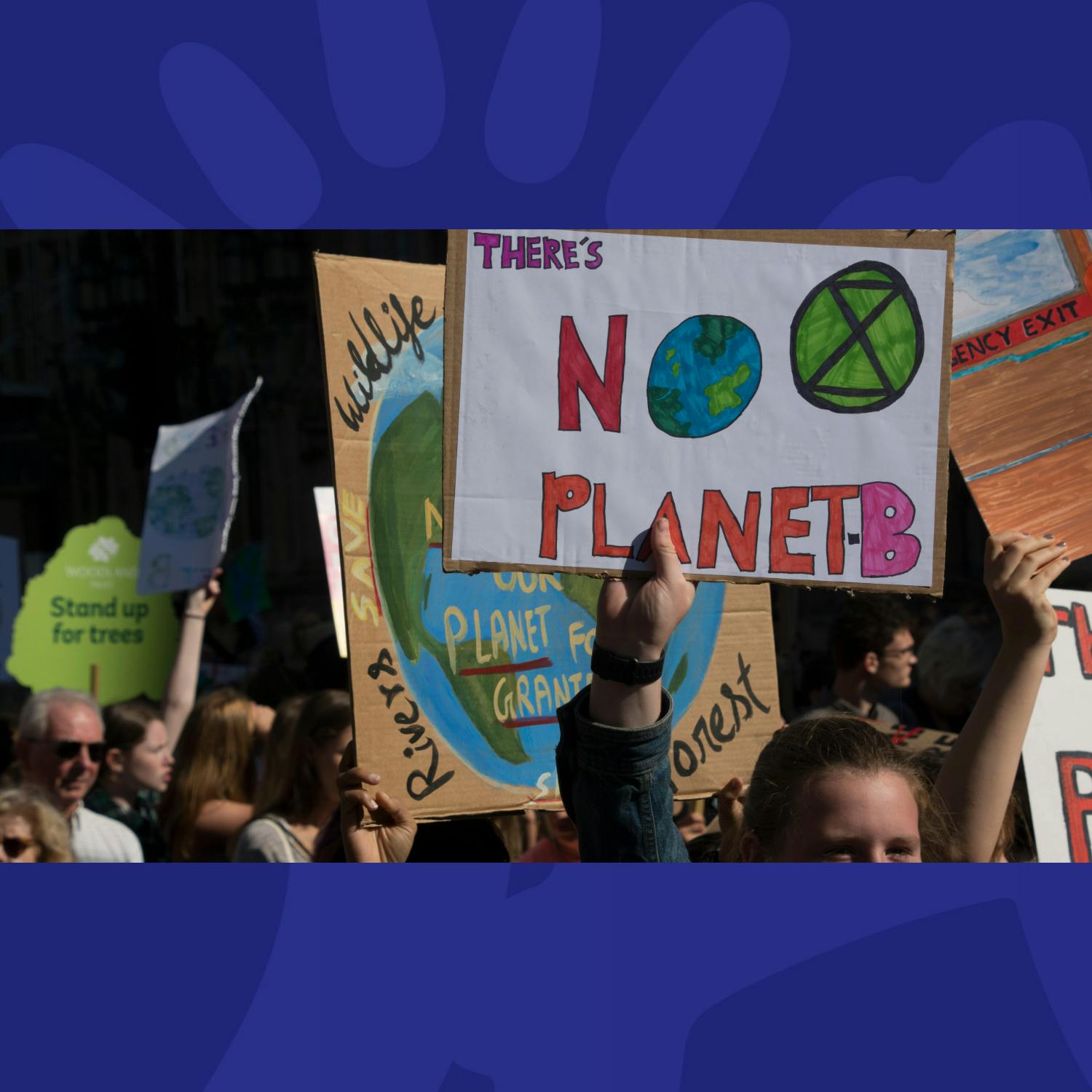 Do Disruptive Climate Protests Work? A New Survey Suggests They Do