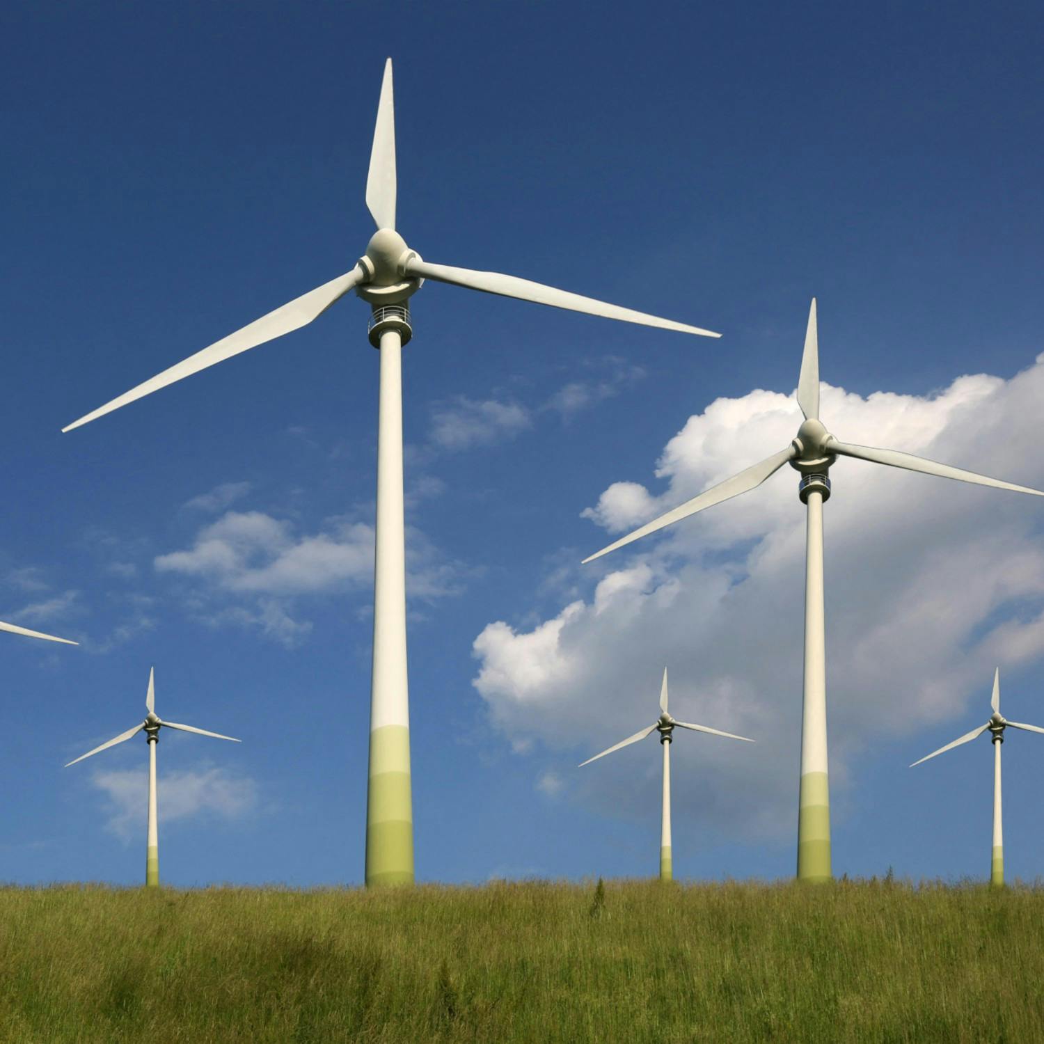 Green Scene: Renewable energy leads the way in climate progress for 2025 Green Scene: Renewable energy leads the way in climate progress for 2025