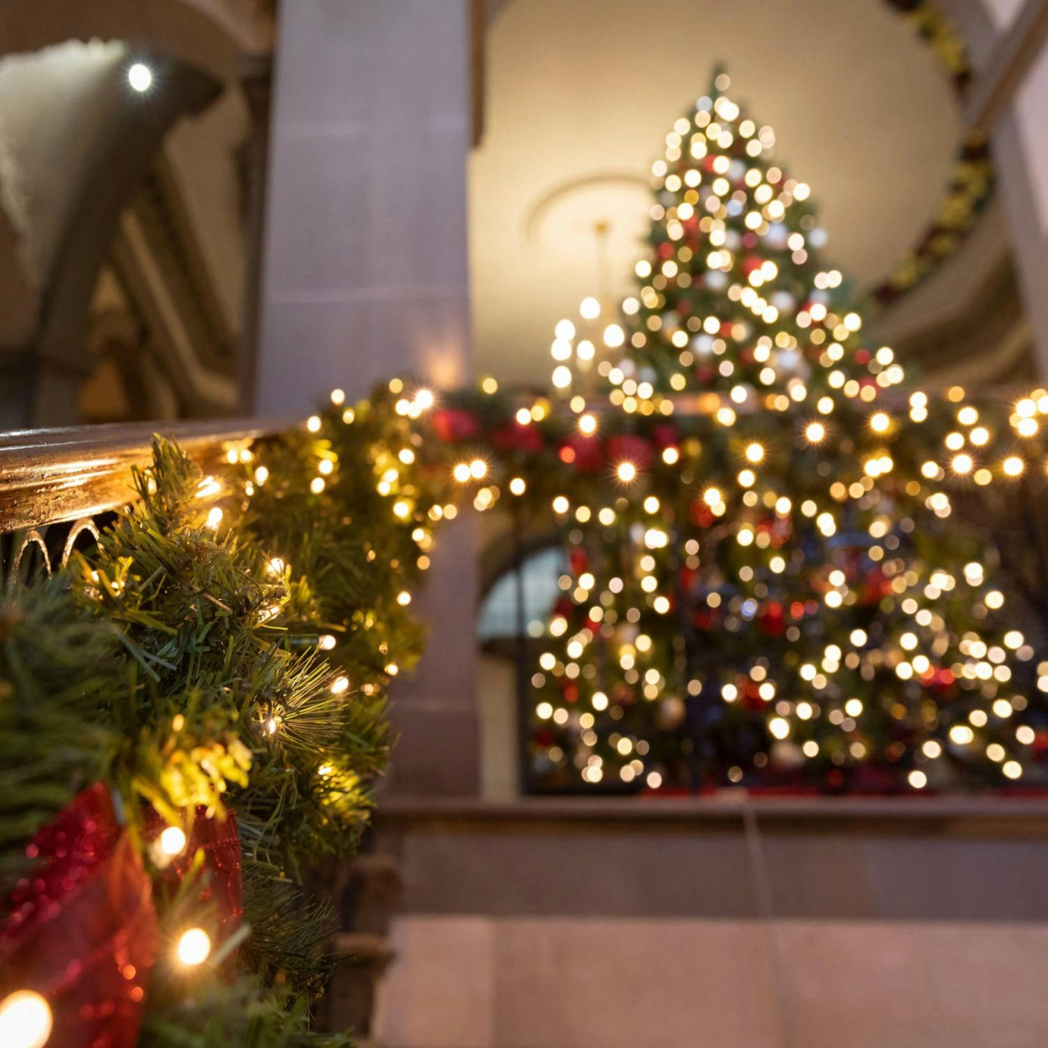 The joys of being solo for the festive season