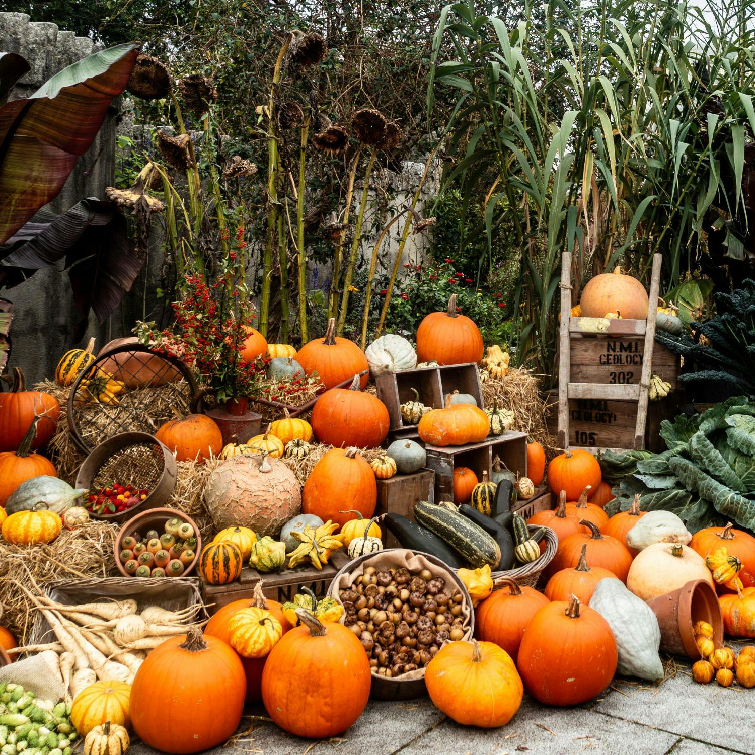 The Ultimate Guide: Halloween in Ireland