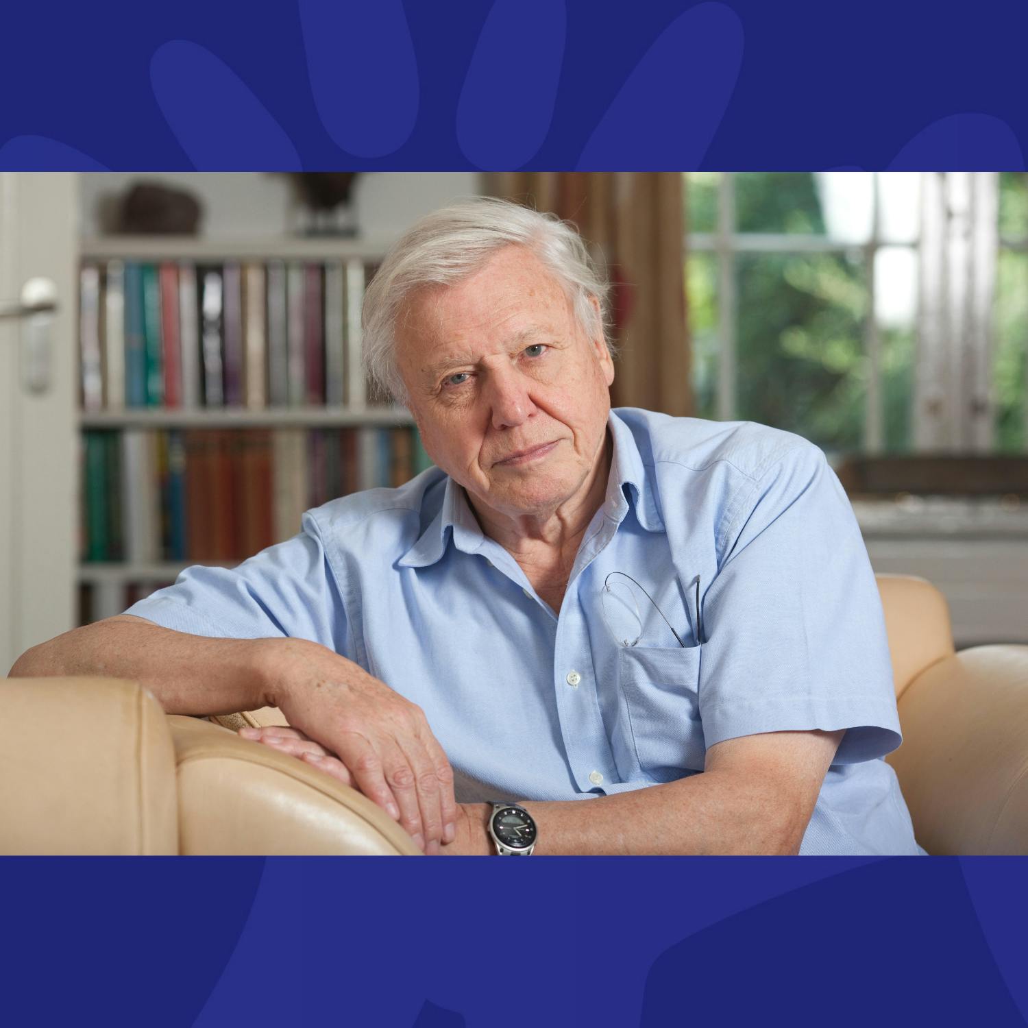 Environment: David Attenborough Turns 100
