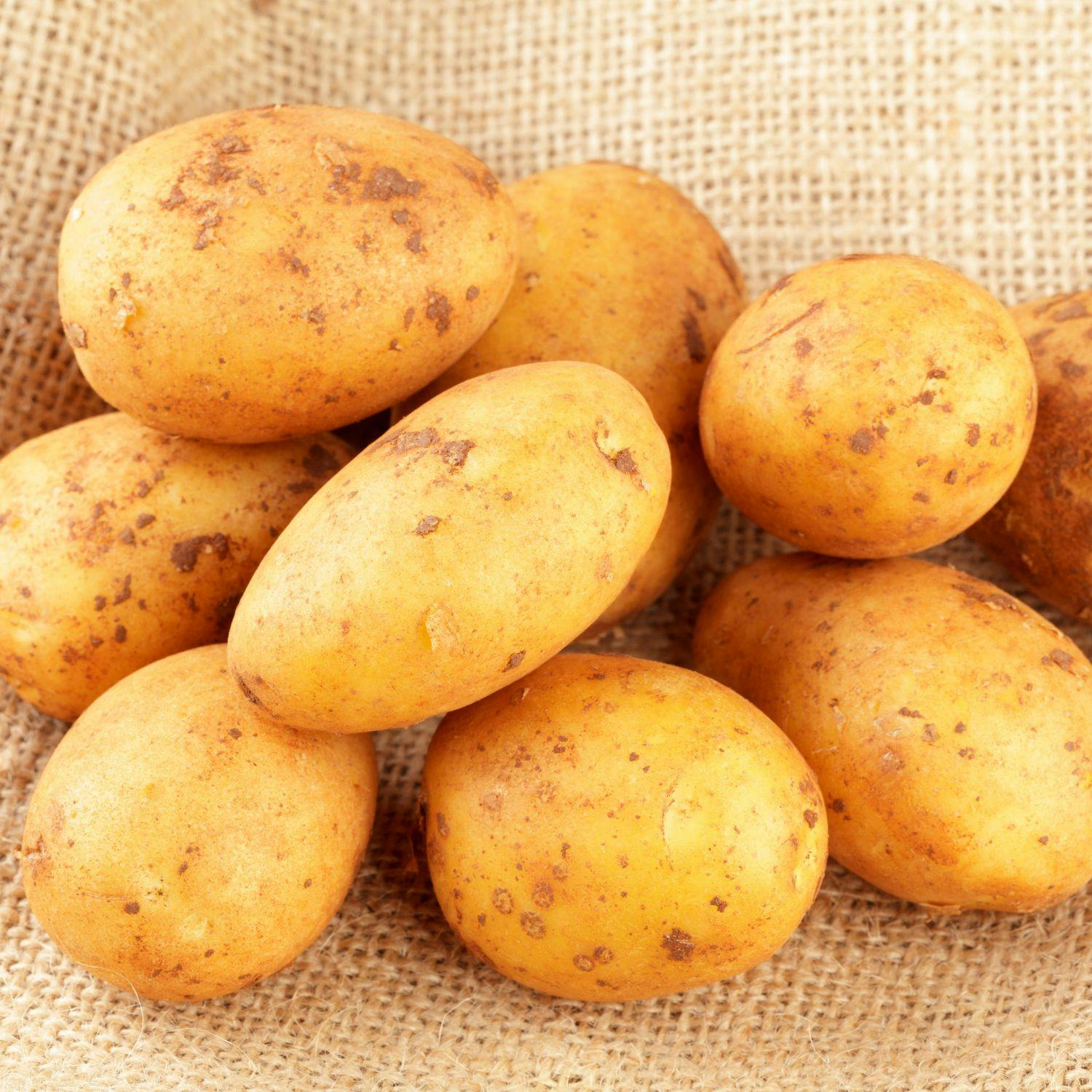 cover of episode Diet stress 'far more detrimental to the body than eating a spud'