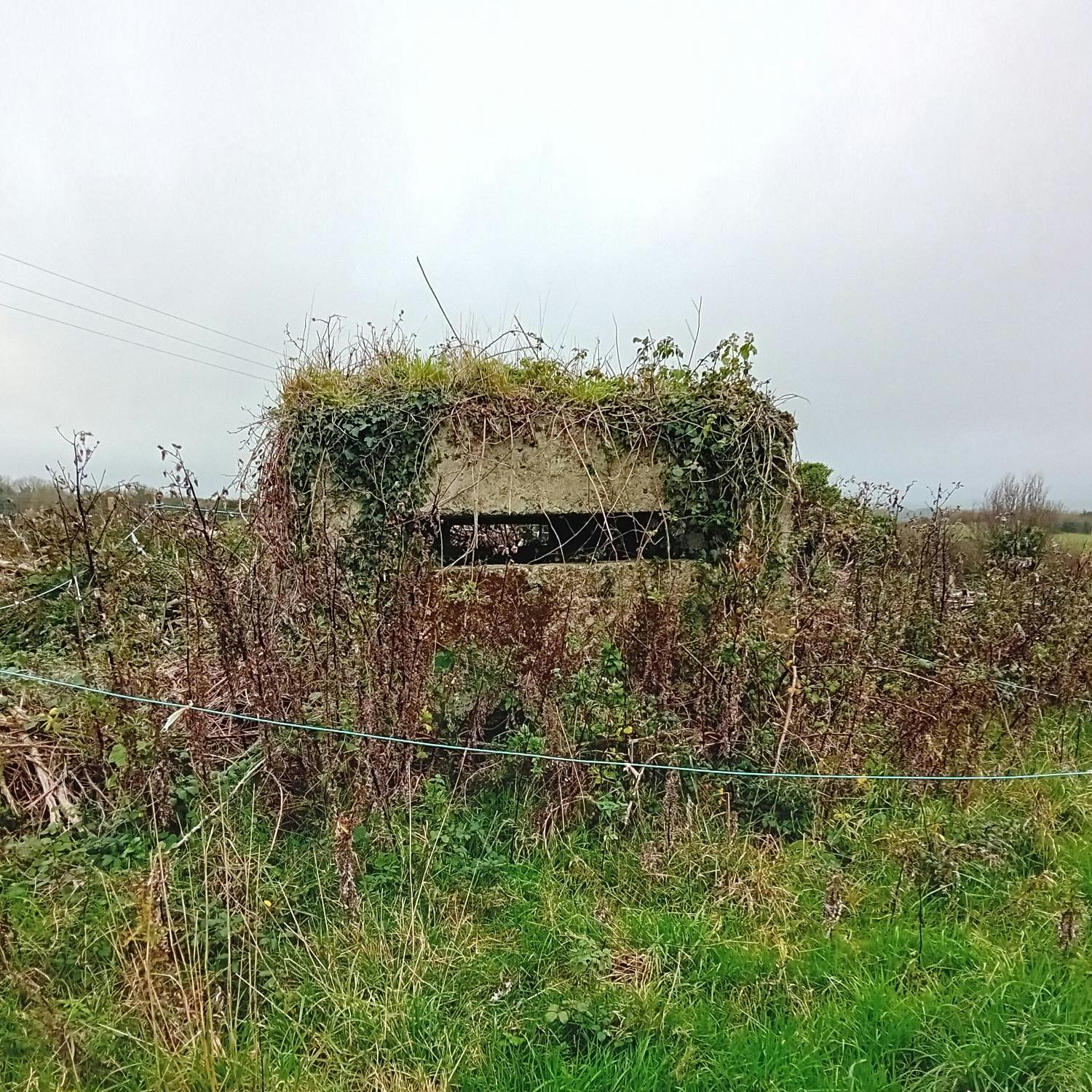 Ireland’s lost WW2 defenses Image