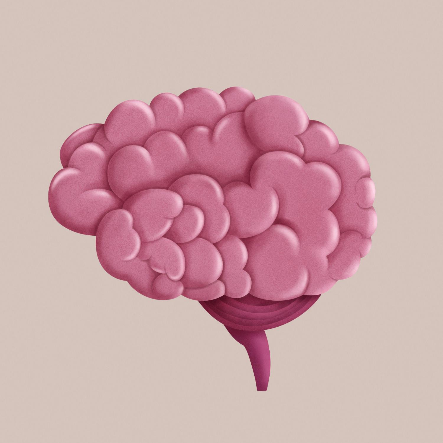 The power of the human brain