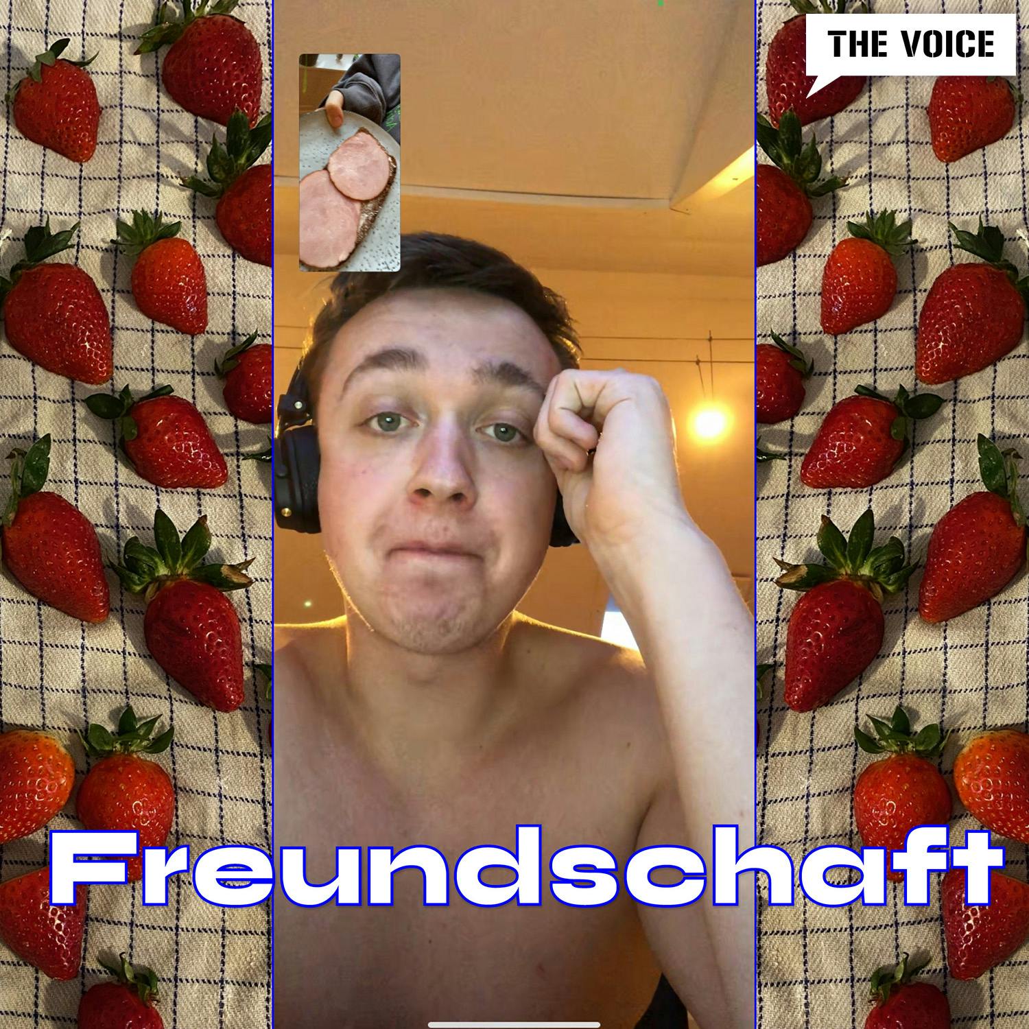 Freundschaft & friends