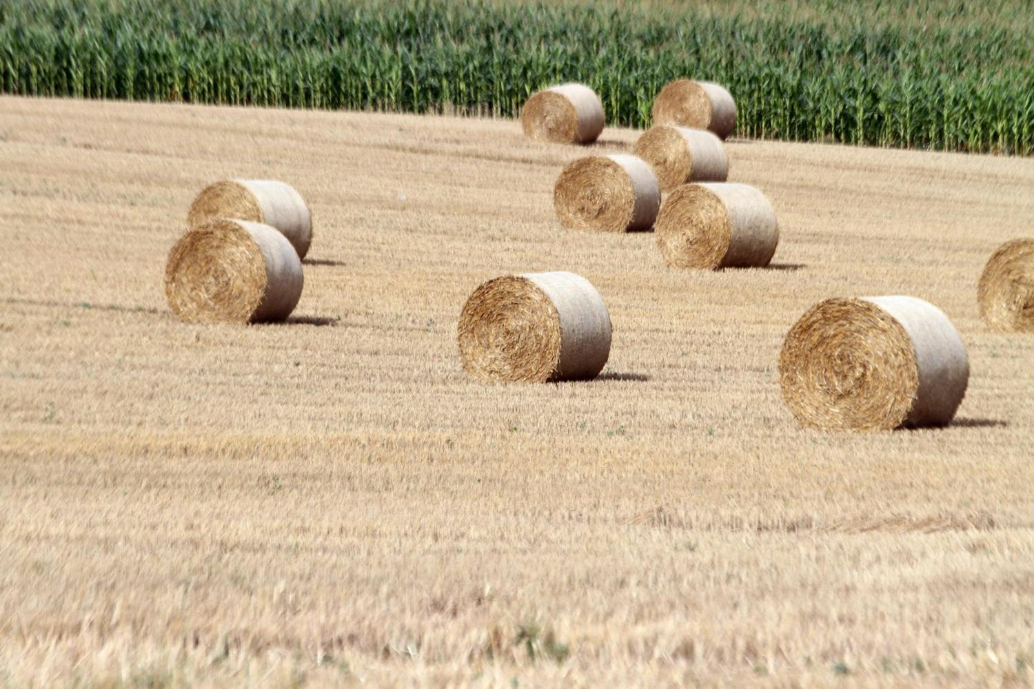 Farming: The Common Agricultural Policy ''It's a big issue'' episode artwork