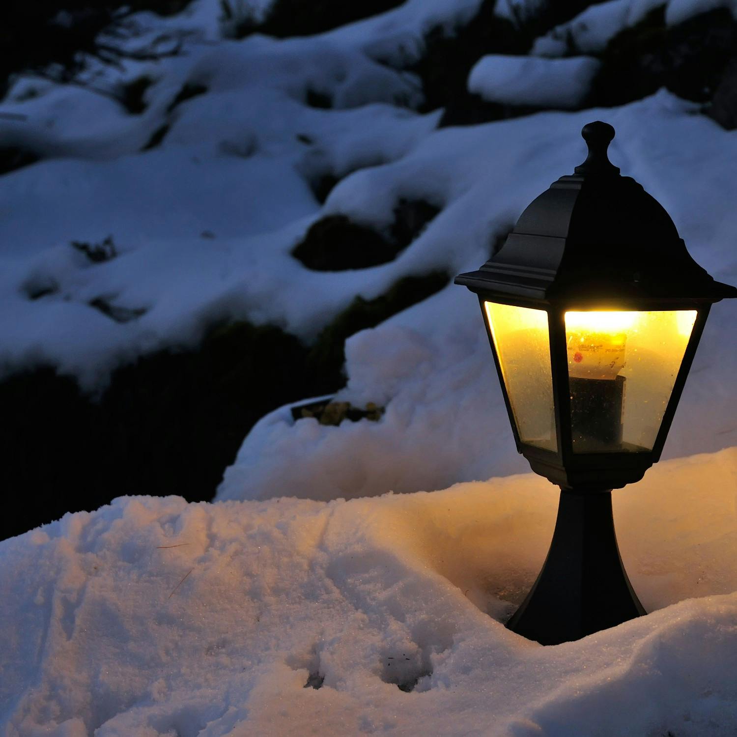Taking care of your garden during these very cold spells