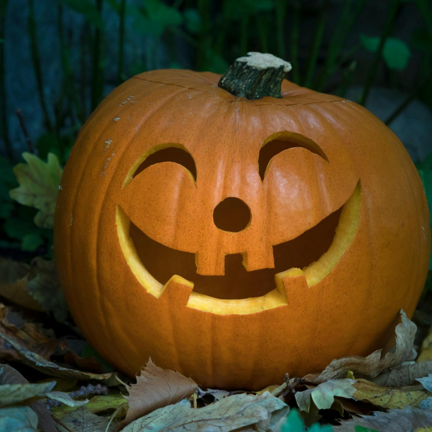 Get your Garden & Home ready for Halloween