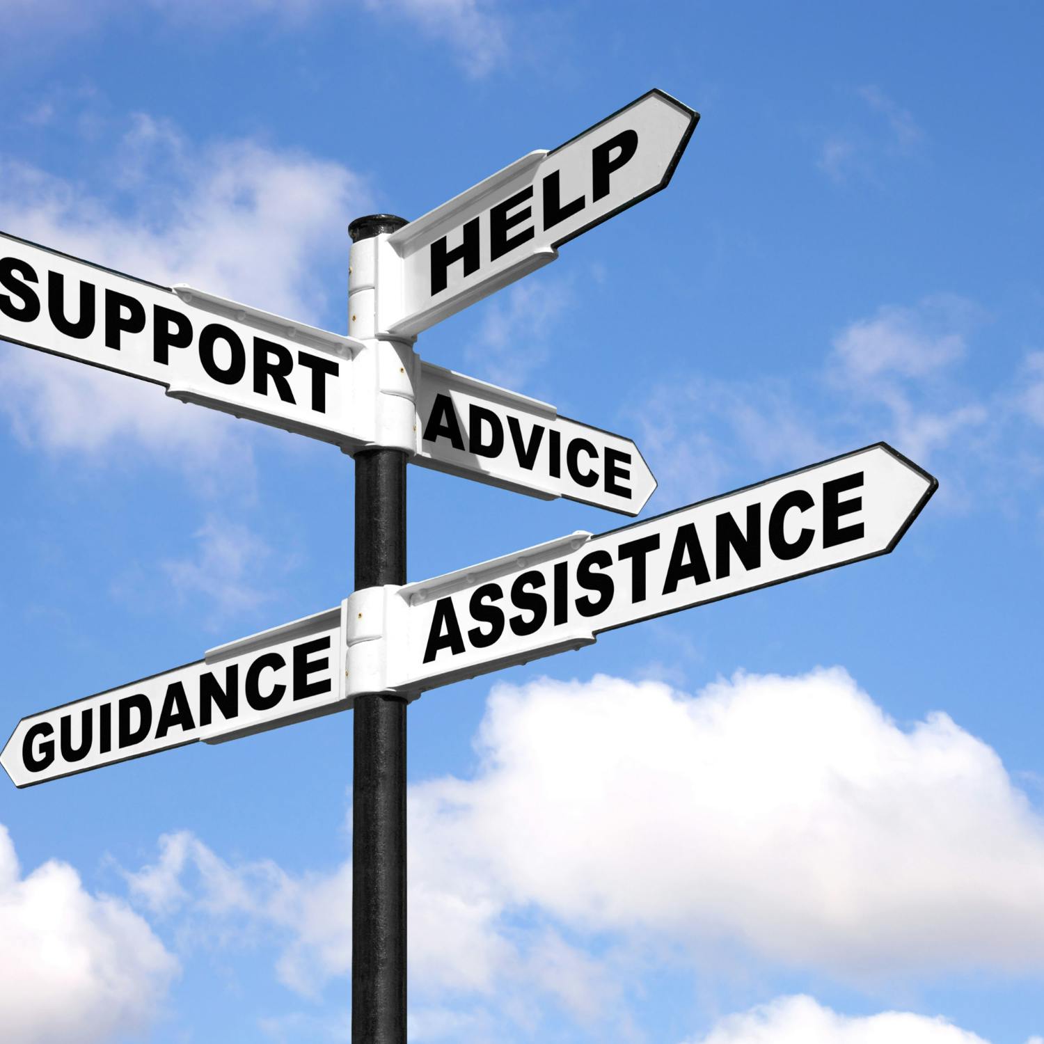 Ask The Expert: On family law