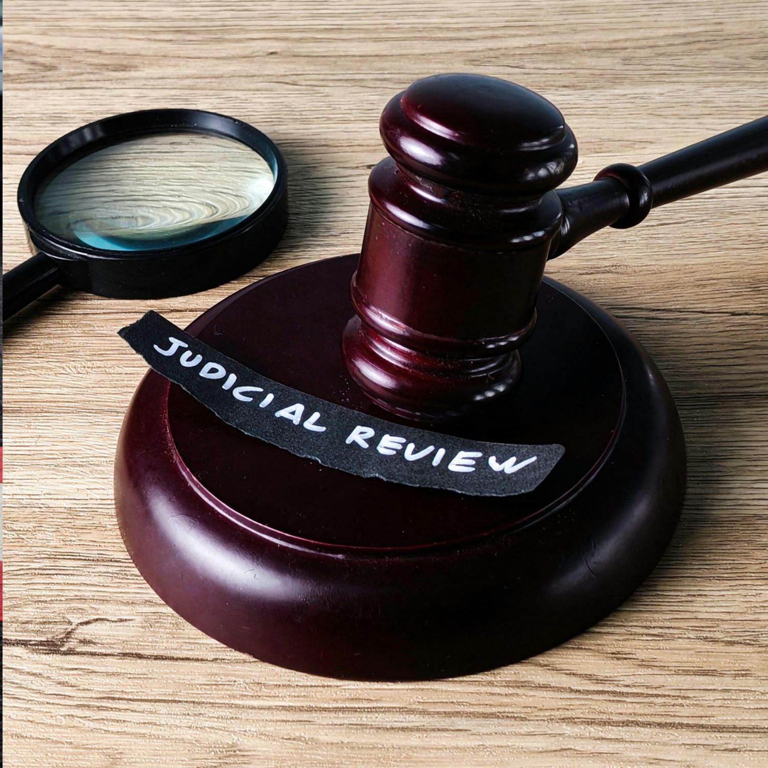 How the number of judicial reviews affects big infrastructure projects