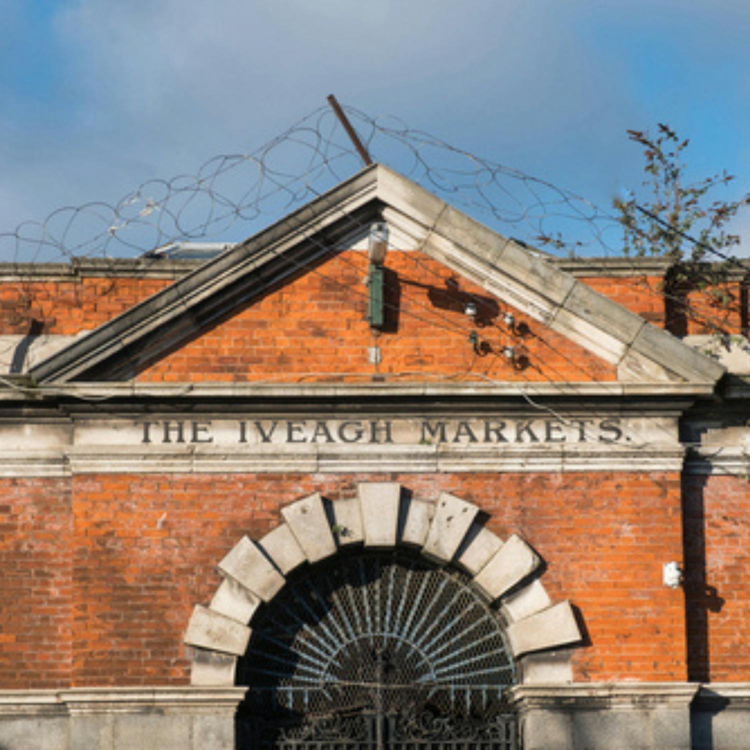What should be done with Dublin's Iveagh Markets?