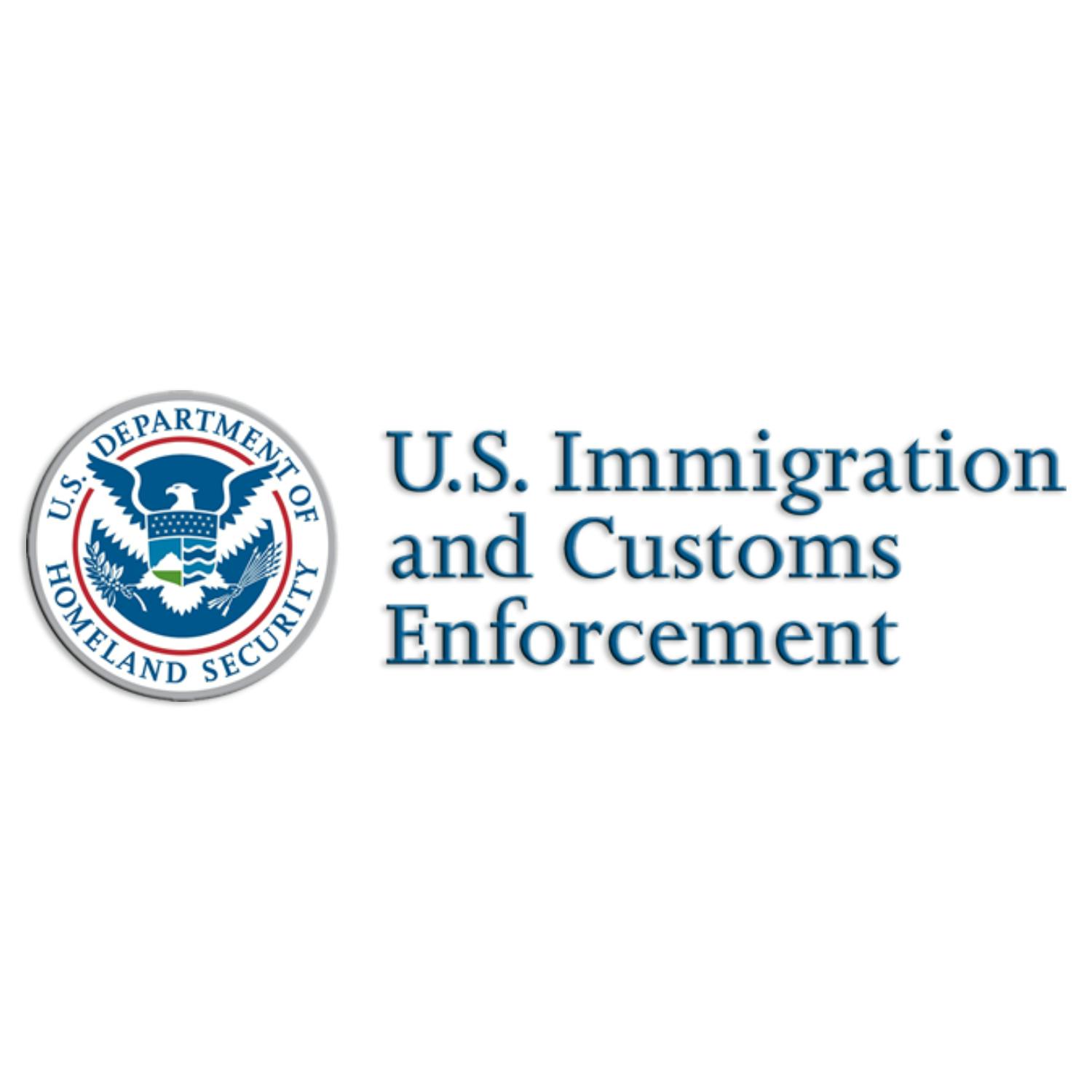 Why was this Irish grandmother detained by ICE in America?