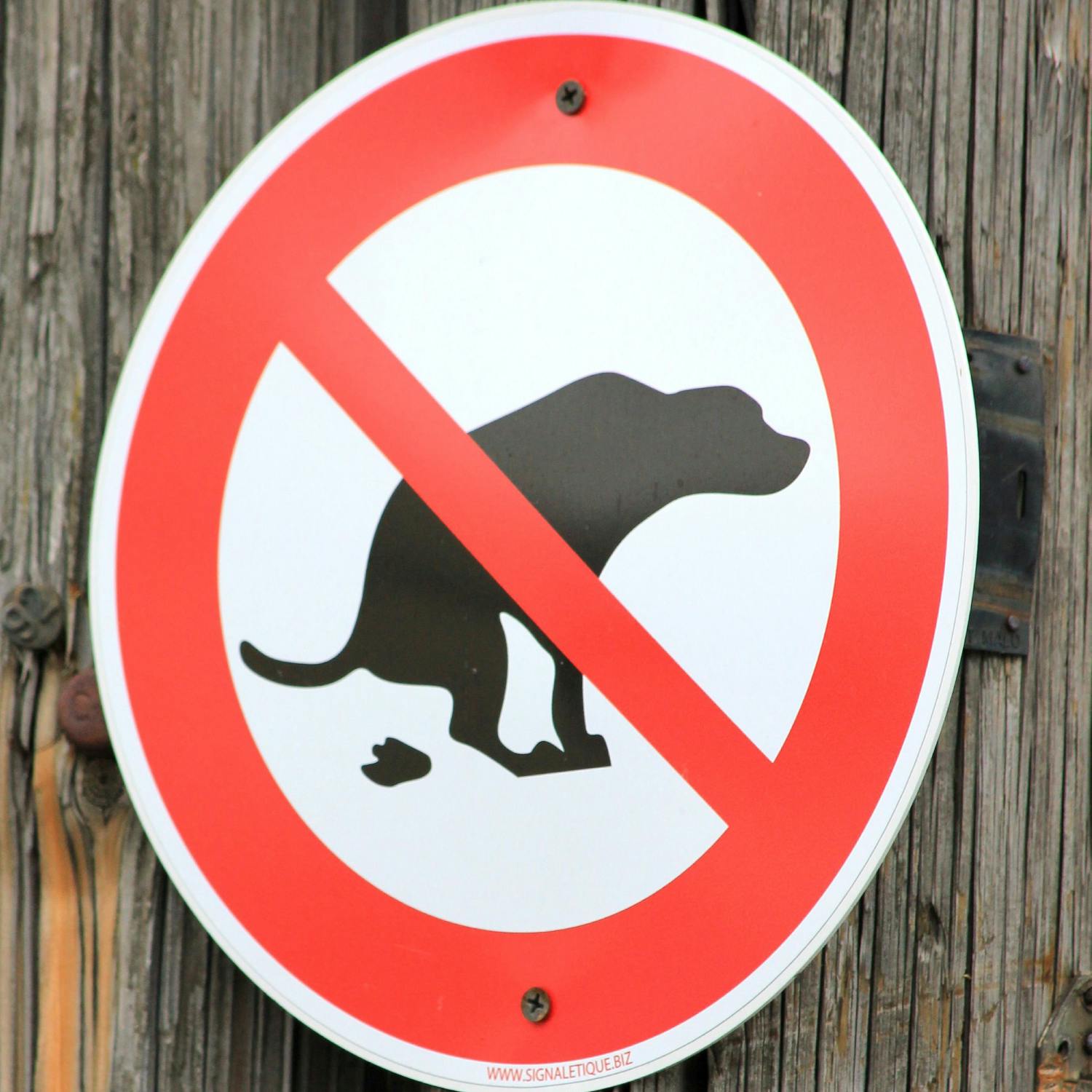 What does a ‘Dog Warden’ do?