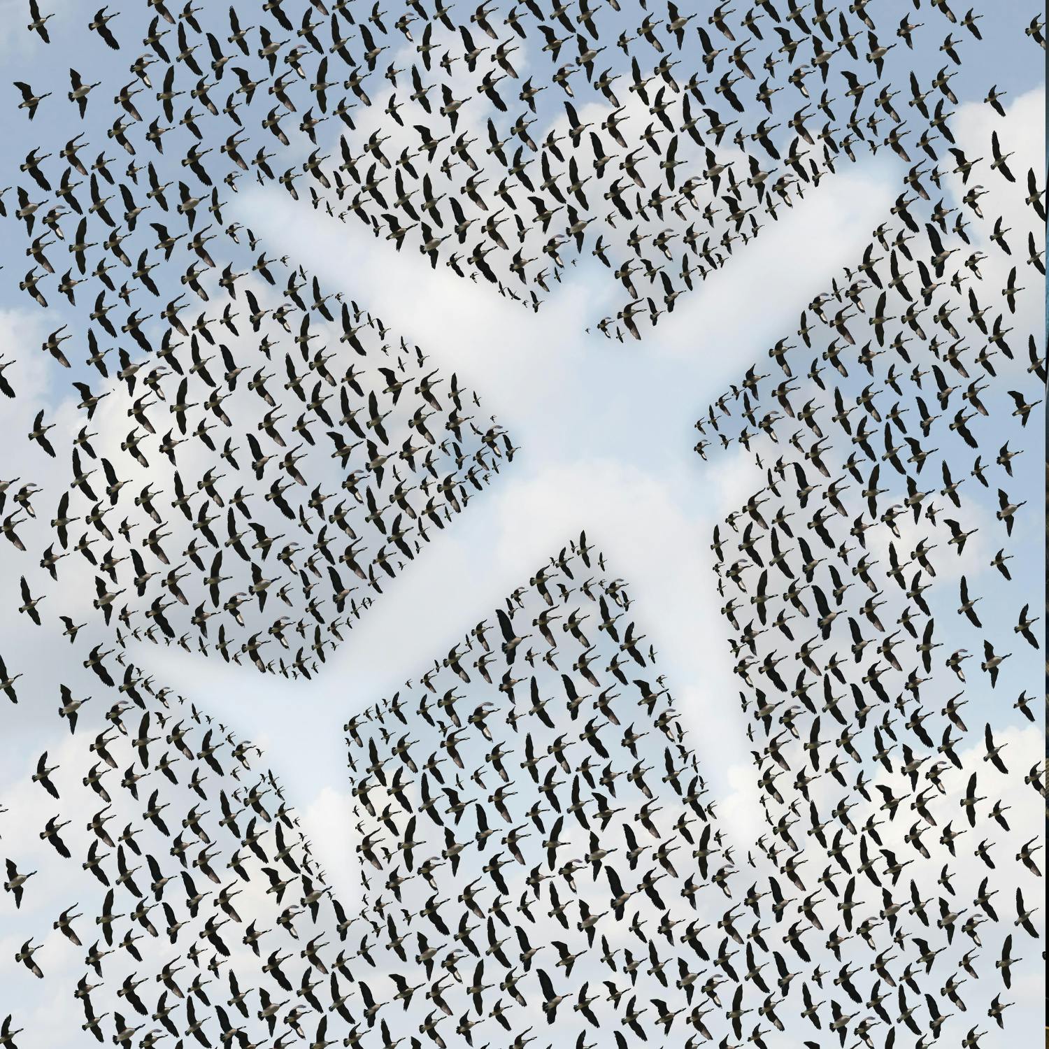 A call for introduction of an Irish air travel levy