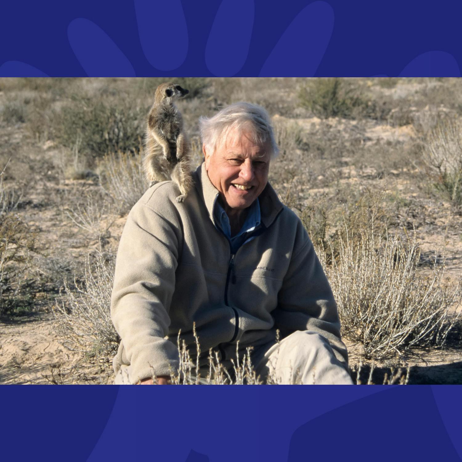 The Week Trending: Hantavirus, Attenborough Turns 100 & Pre-flight Pints