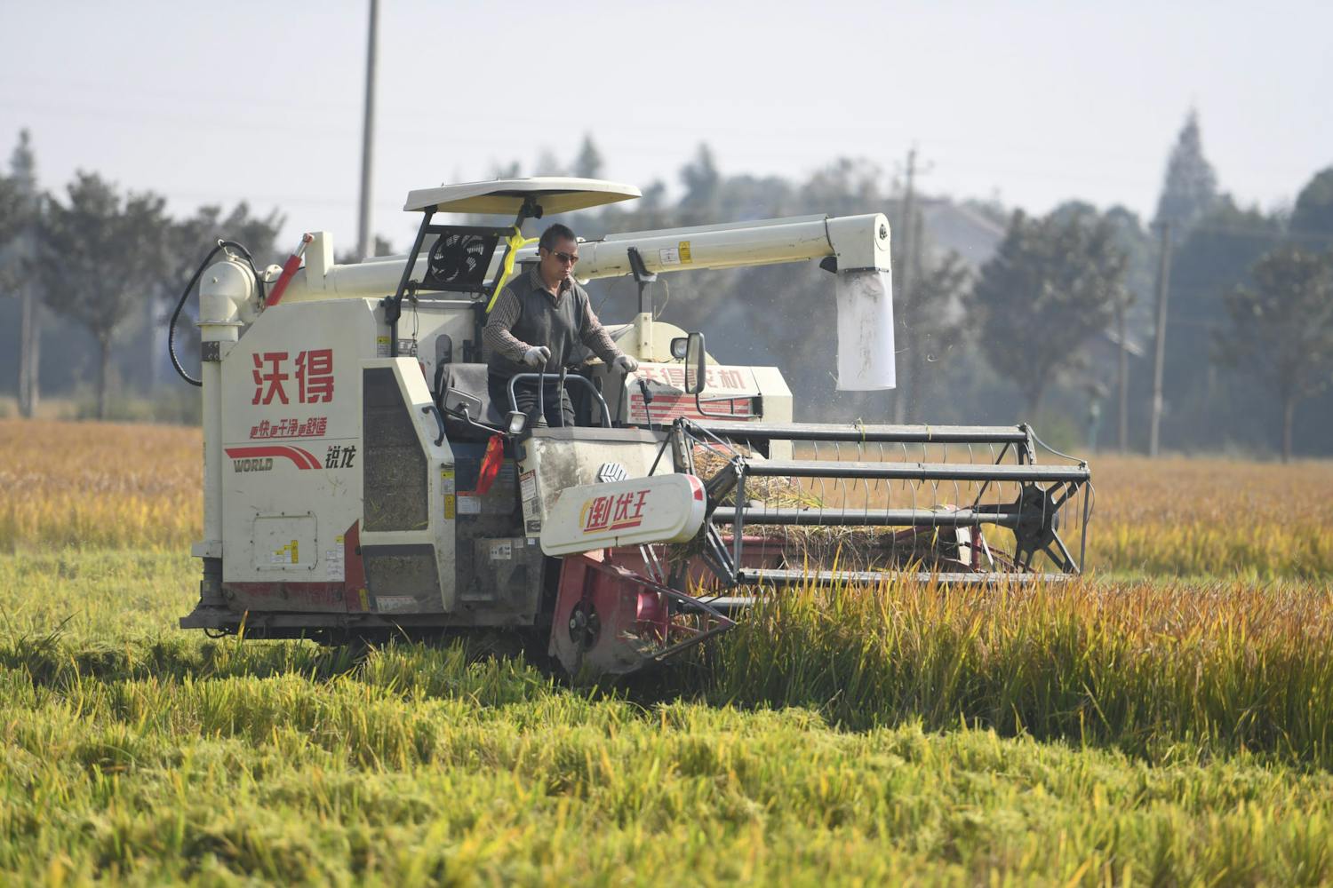 Farming: Dairy farmers are younger than other sorts of farmers episode artwork