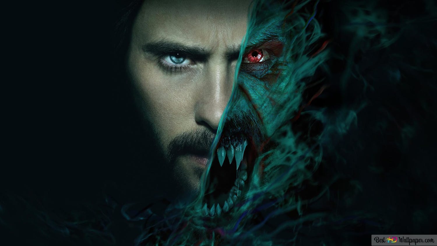 WE LOVE MOVIES - MORBIUS, SONIC 2, THE BAD GUYS