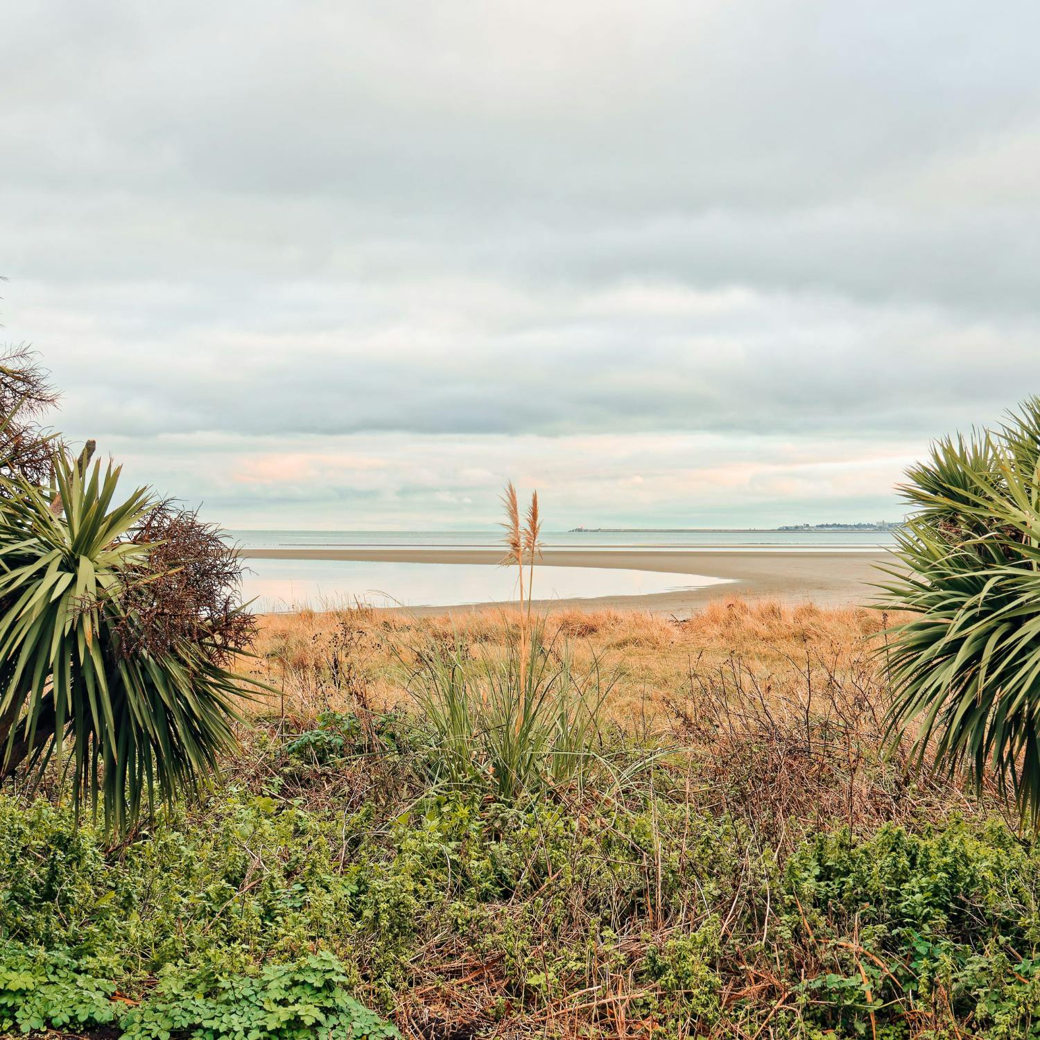 Number of beaches with poor bathing water quality has decreased episode artwork