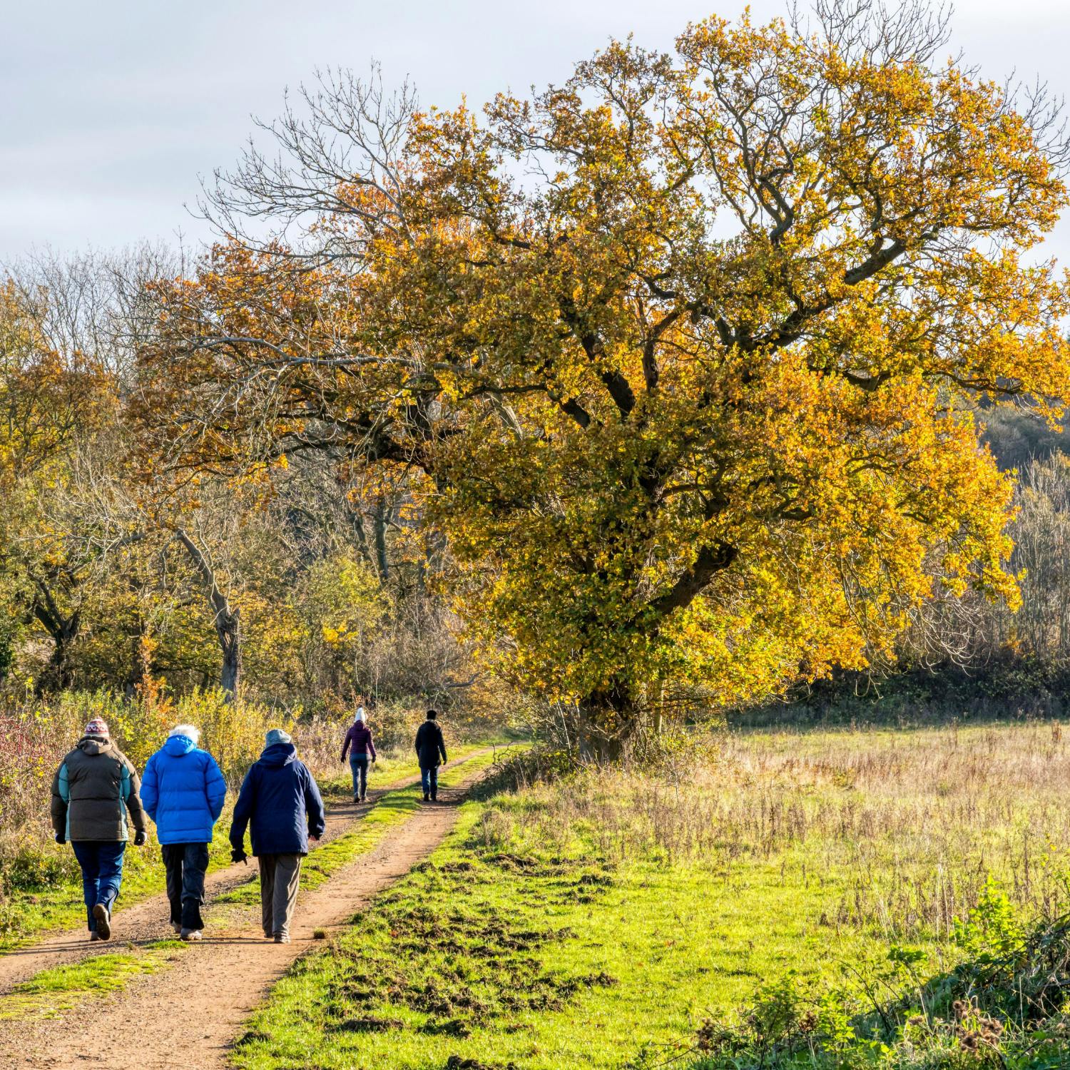 Tips to fill your winter with fun and friendship