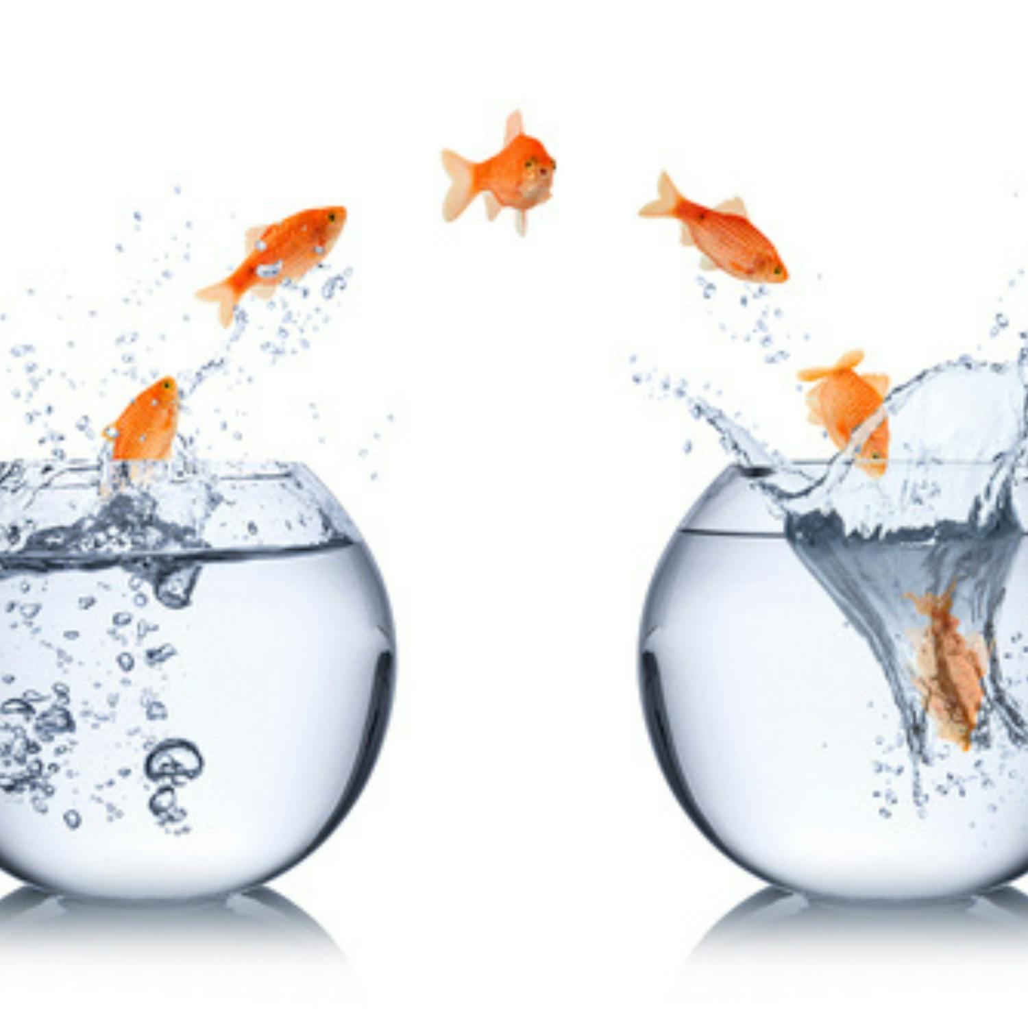 Almost 1 in 4 of us changed jobs over the past 12 months episode artwork