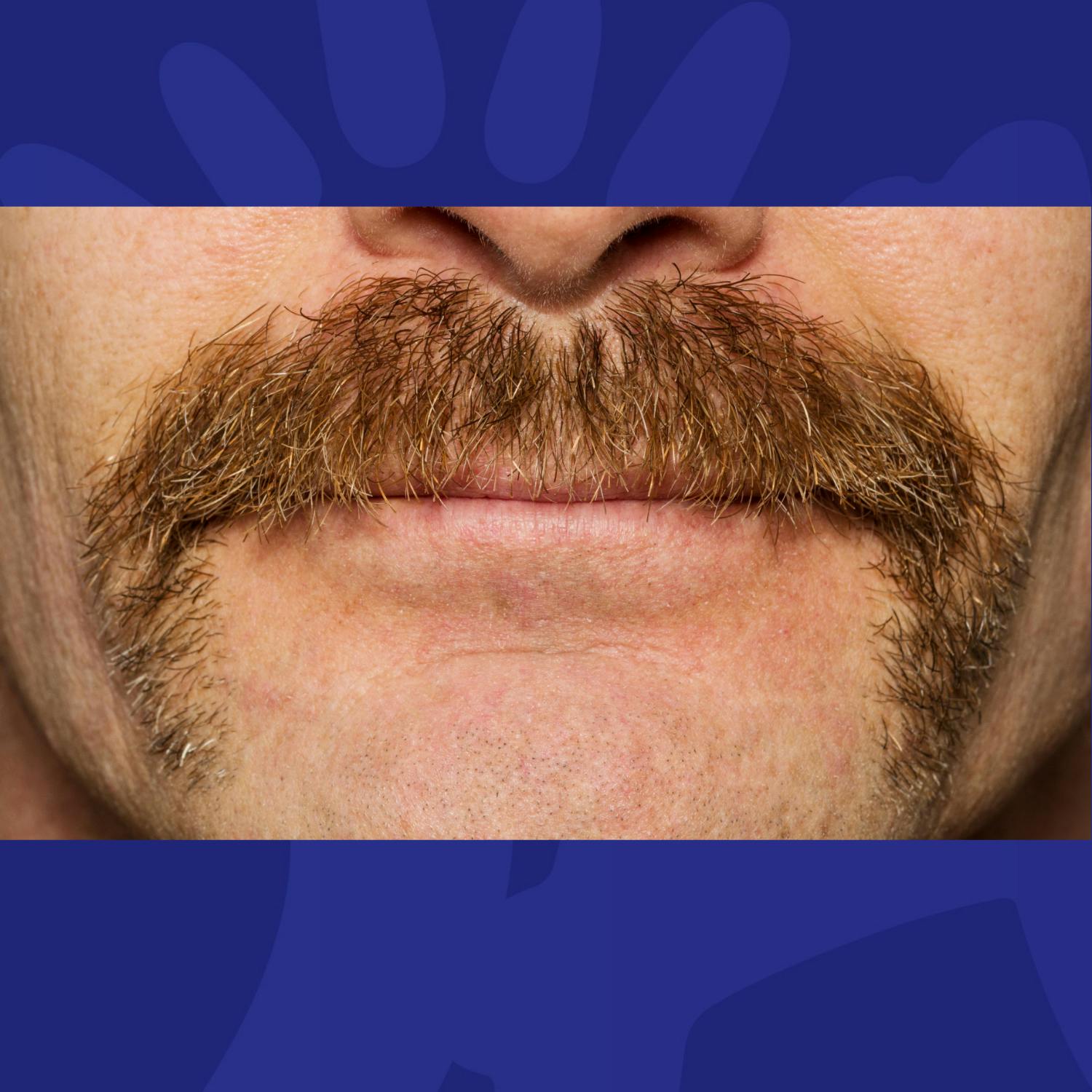 Mo Your Own Way: All You Need To Know This Movember  Image