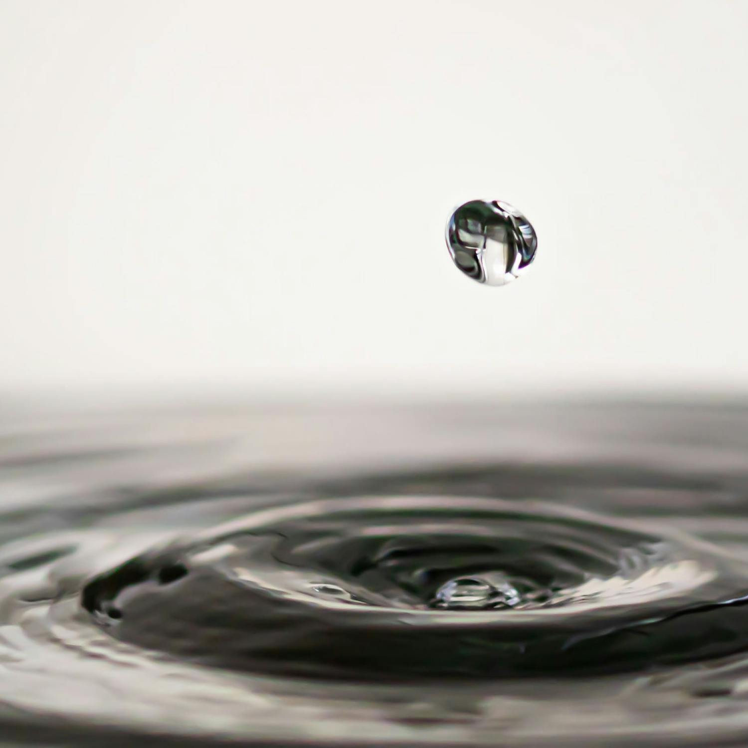 Ask Me Anything: Water Cremation