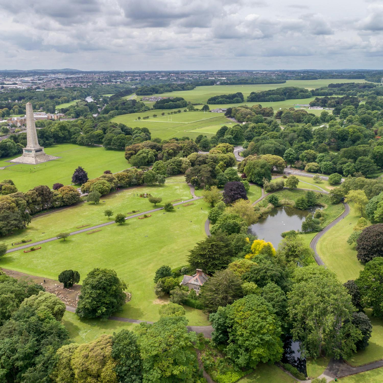 Gardening stories: The Pheonix park
